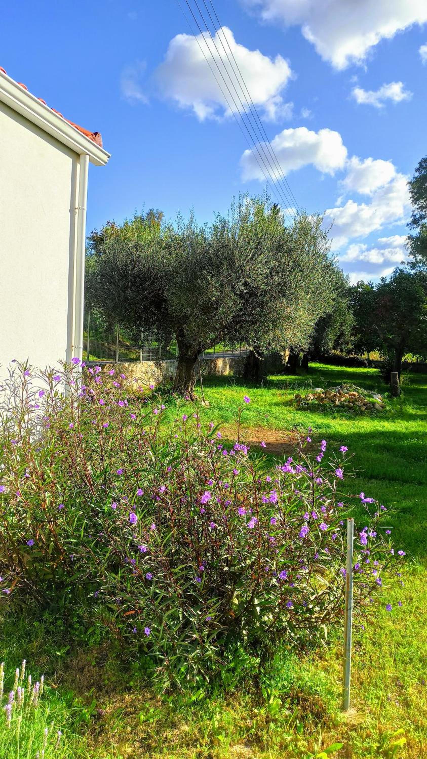 Rizaki Cottage in Nafpaktos view 3
