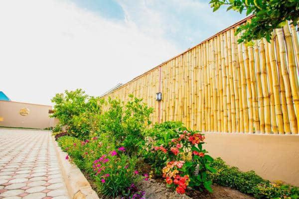 Safi House