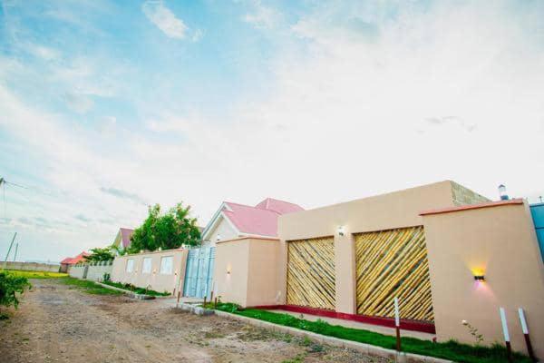 Safi House