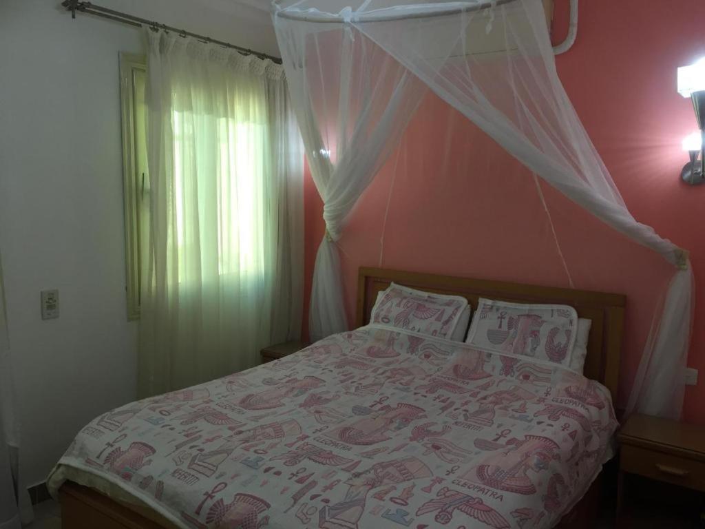 Sharks Bay Oasis Apartment Sharm El sheik
