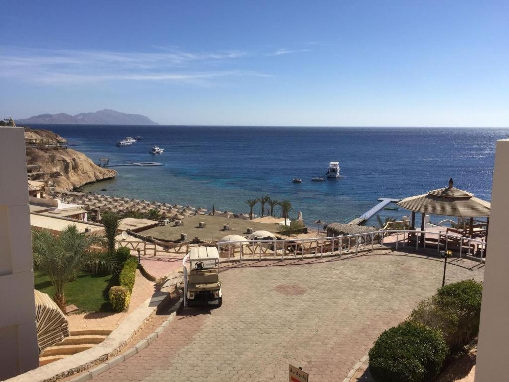 Sharks Bay Oasis Apartment Sharm El sheik