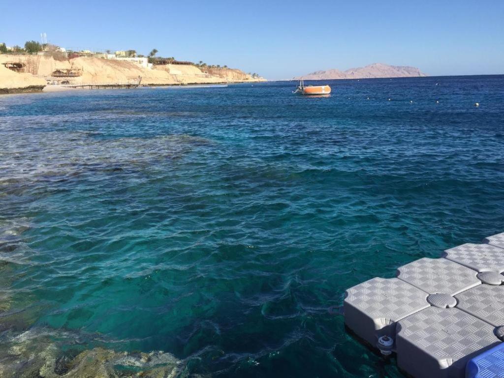 Sharks Bay Oasis Apartment Sharm El sheik