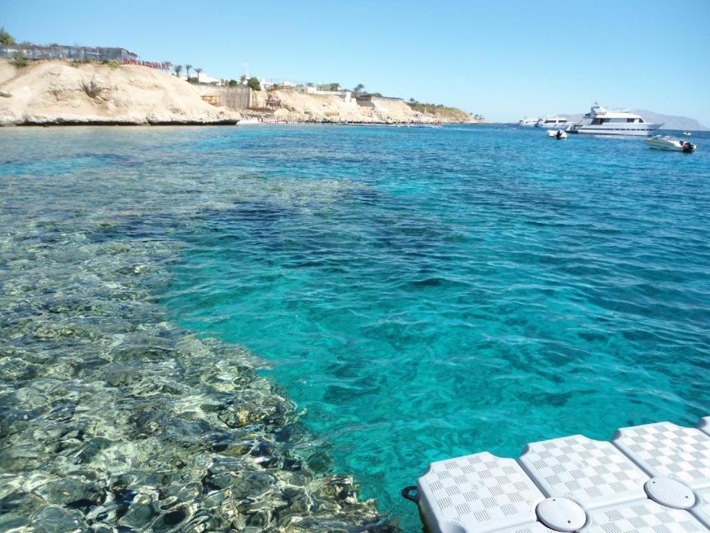 Sharks Bay Oasis Apartment Sharm El sheik