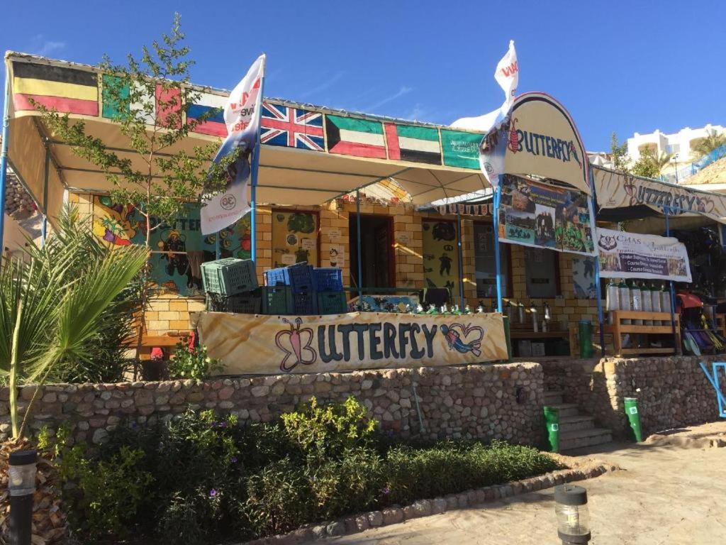 Sharks Bay Oasis Apartment Sharm El sheik