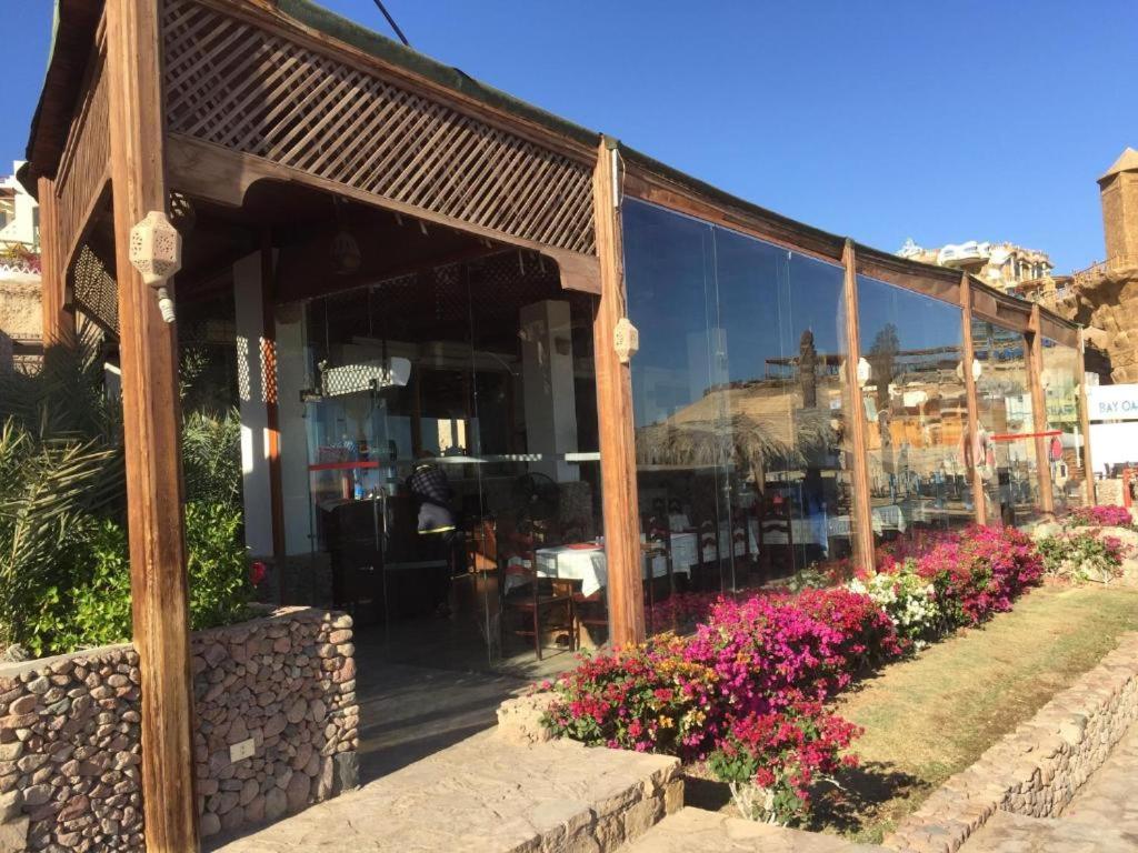 Sharks Bay Oasis Apartment Sharm El sheik