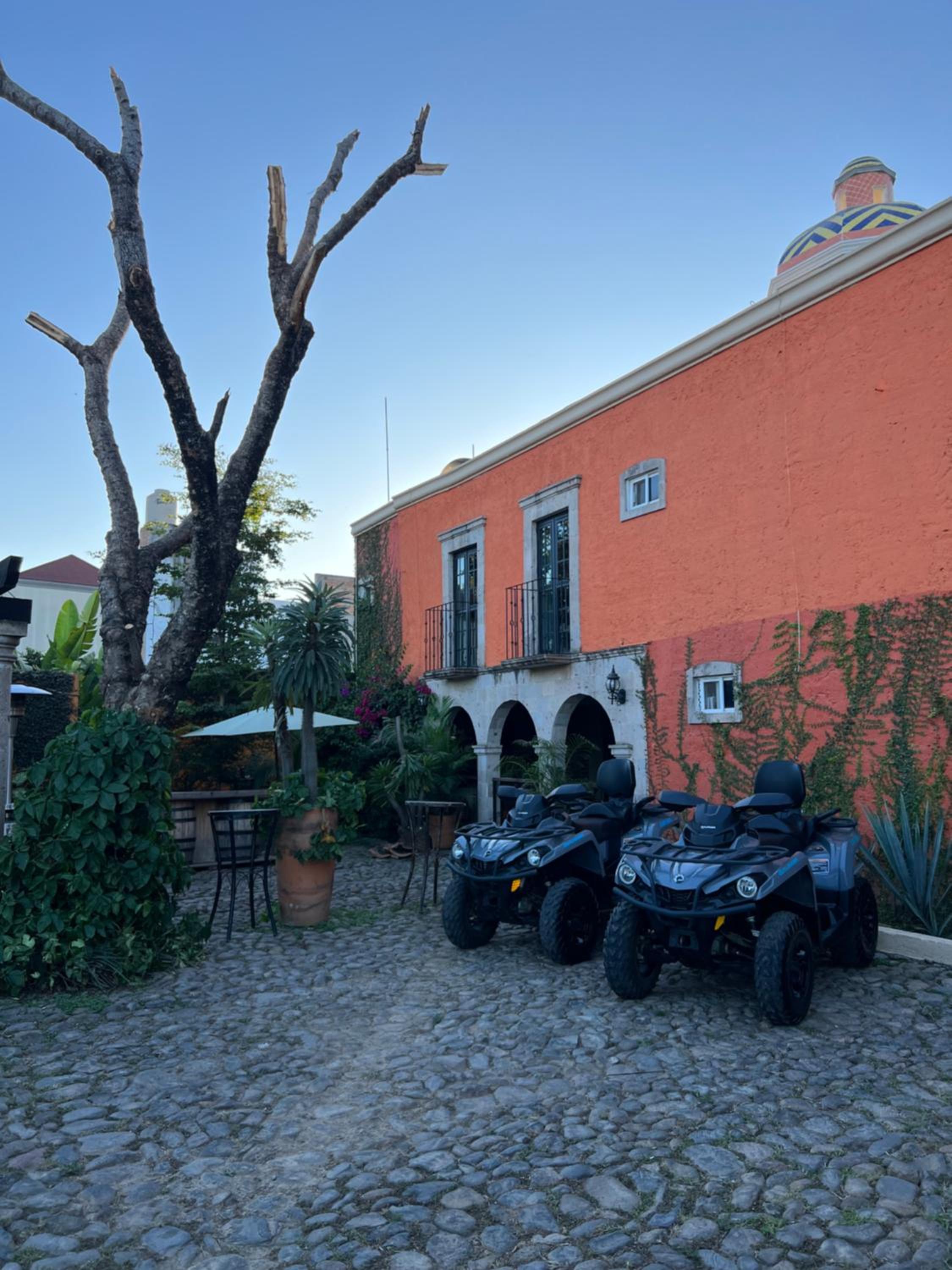 Hotel Boutique Real Tequila, photo 37