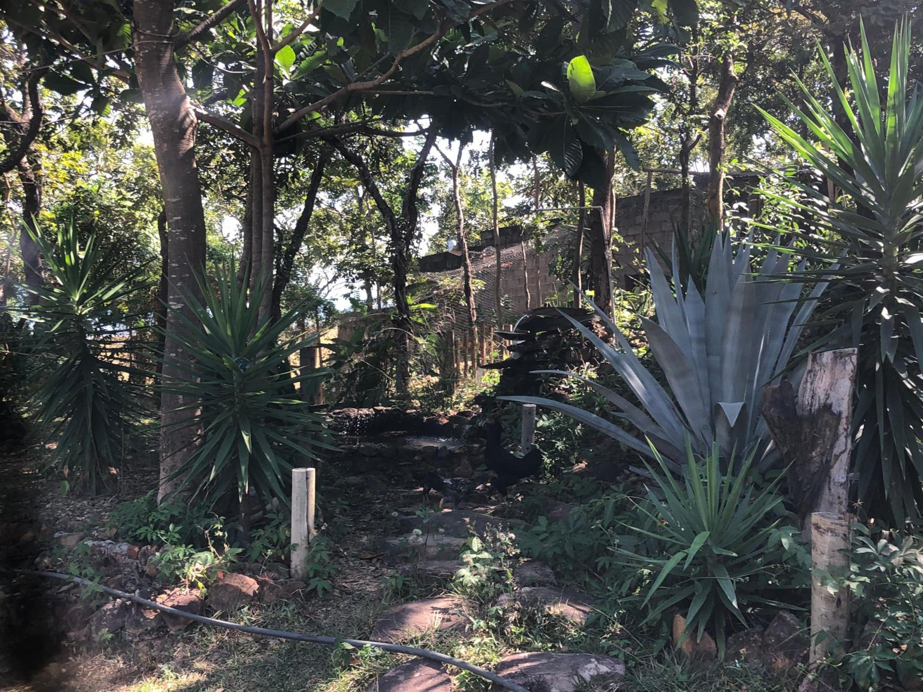 Casa Tucunaré