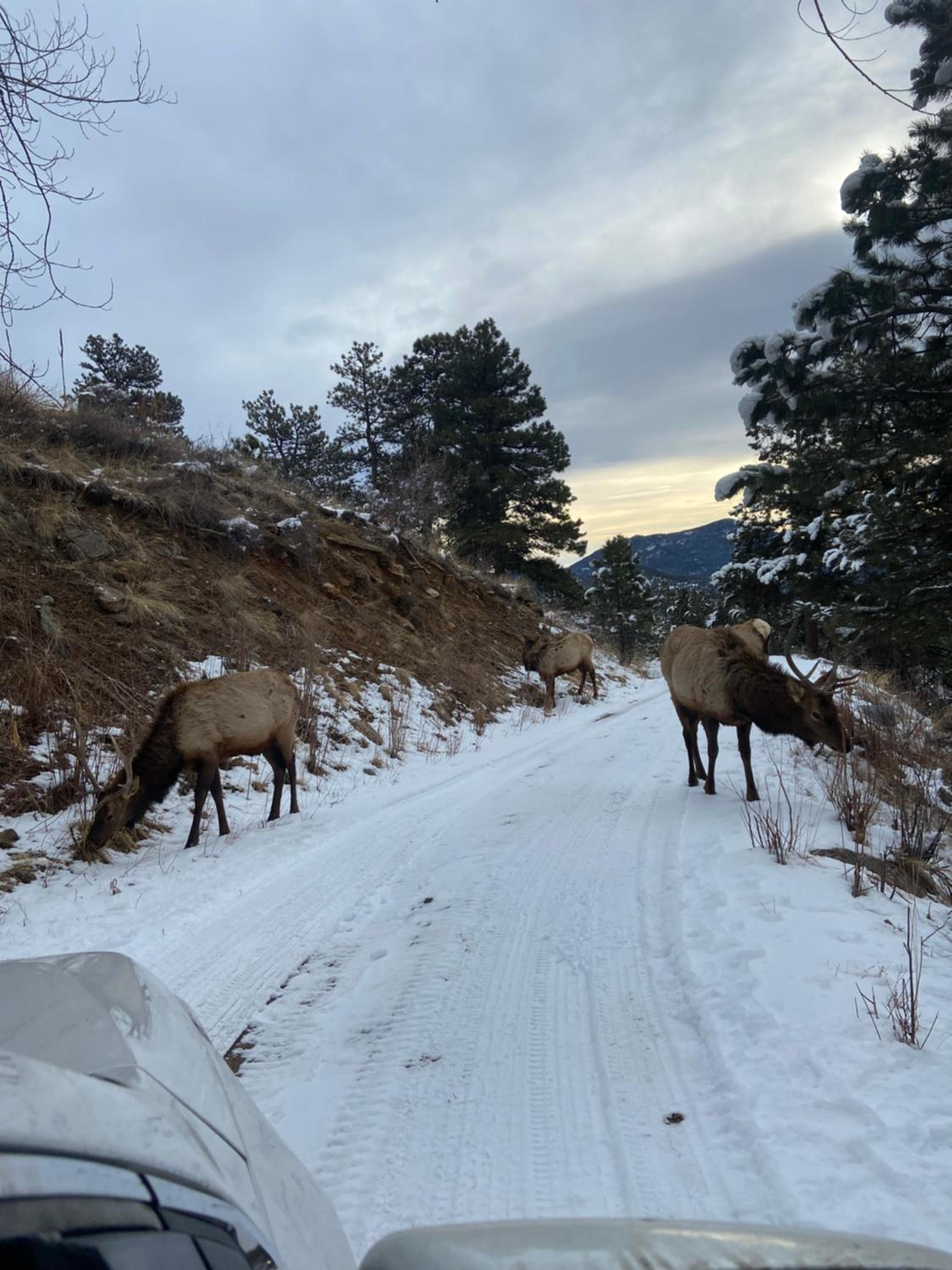 Colorado Bed & Breakfast with beautiful views