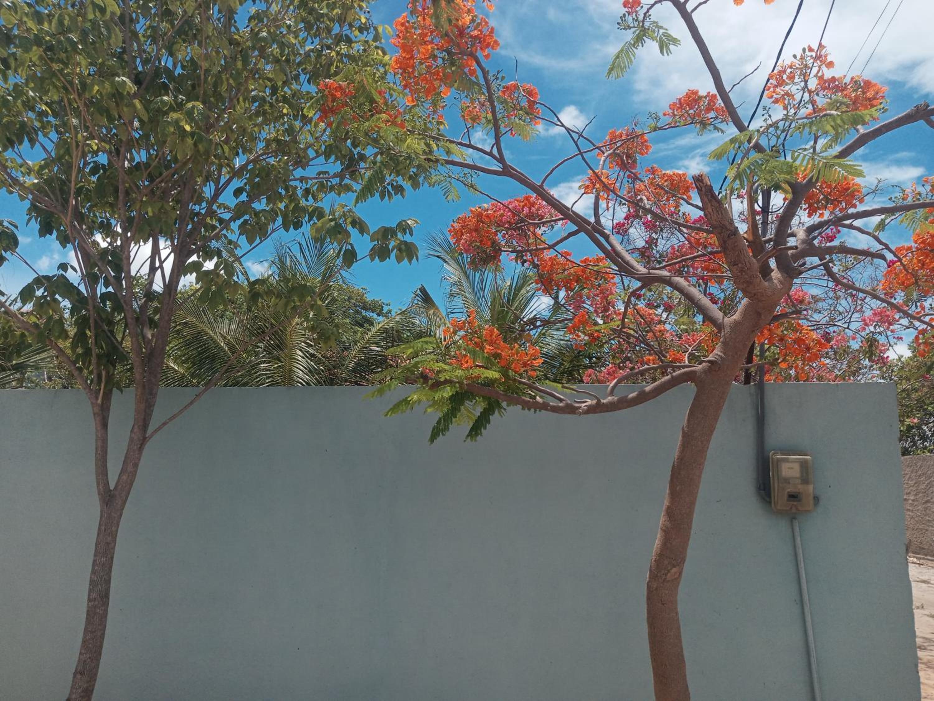 Chales Da Mata