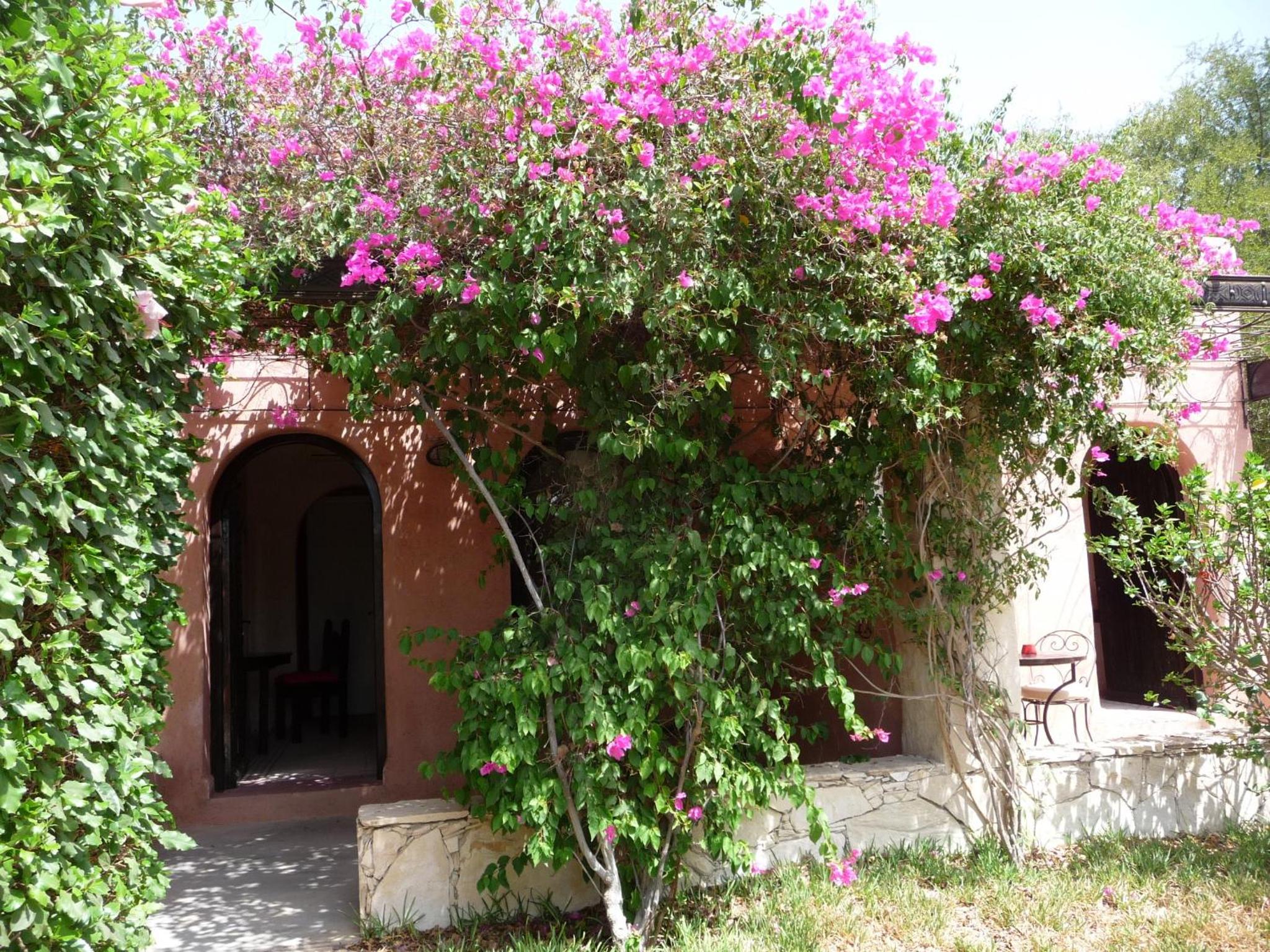 Paradis Nomade