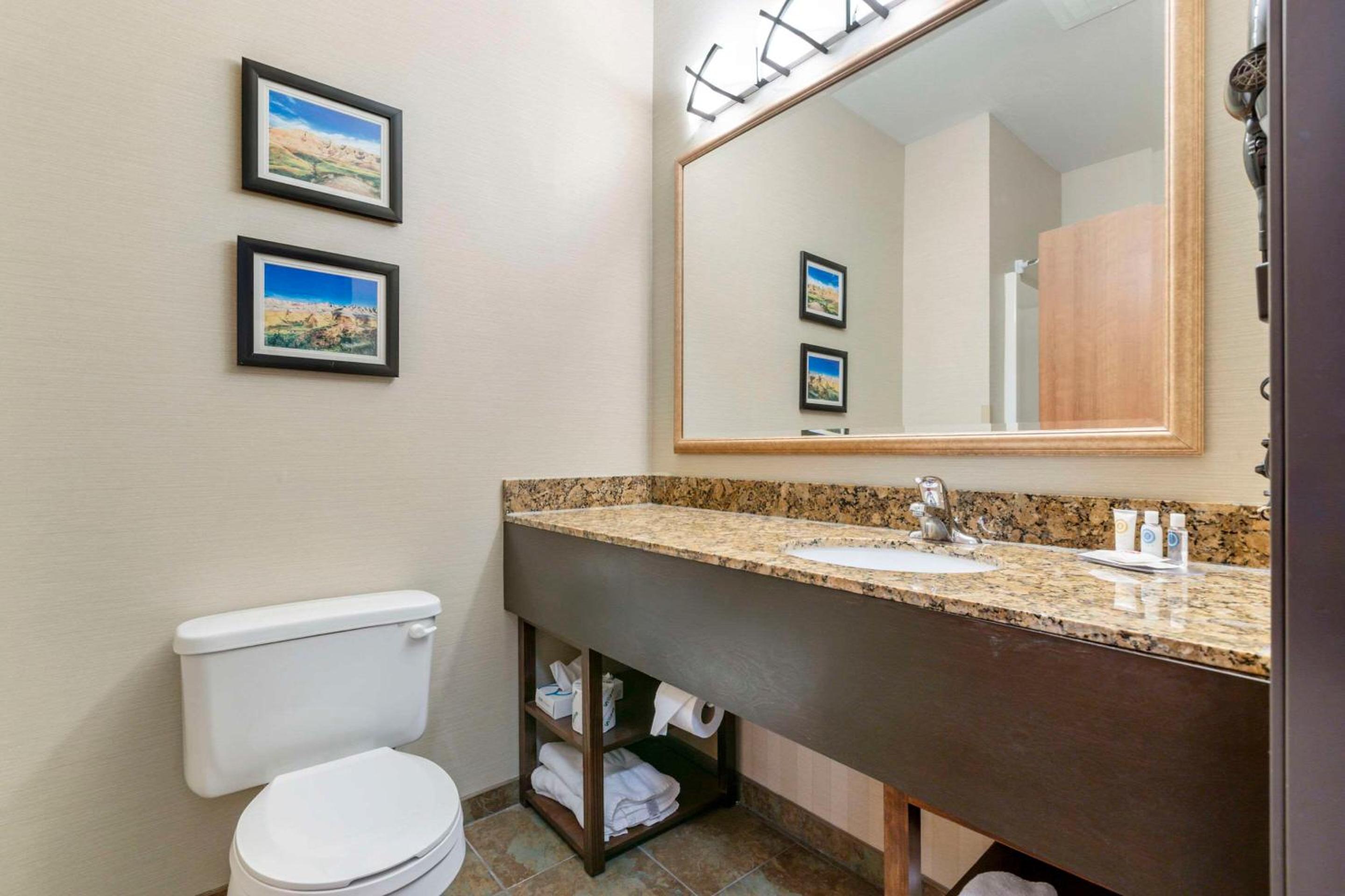 Mitchell Vacations - Comfort Inn  Suites Mitchell I-90 - Property Image 11