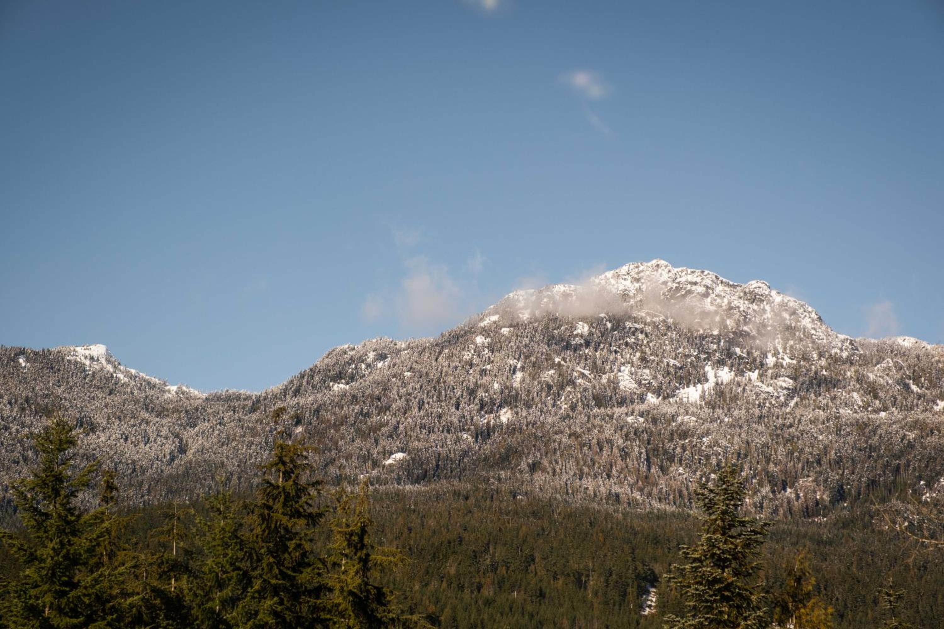 Gondola Heights by Outpost Whistler - Image 4