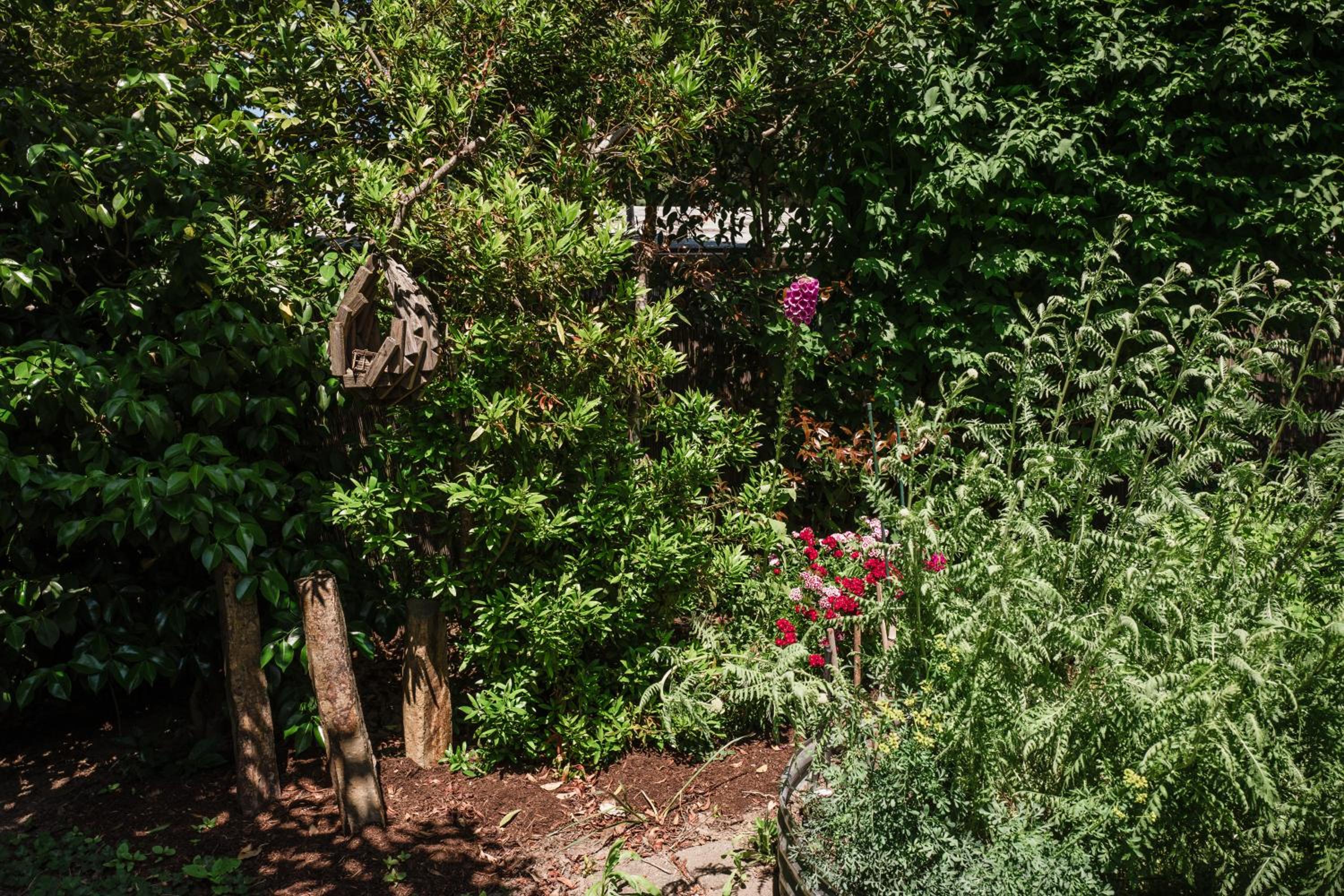 Photo 46