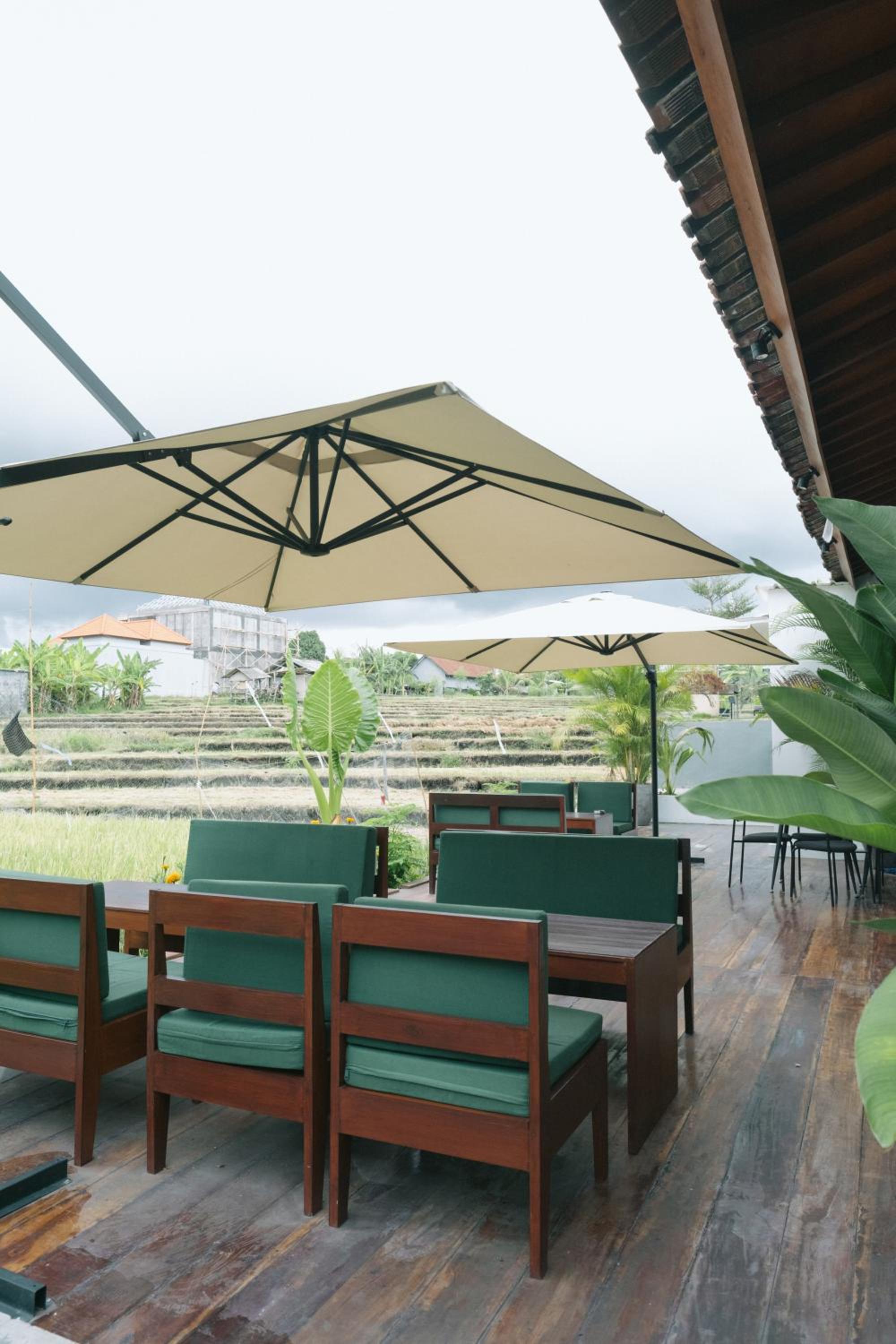 Backyard Canggu