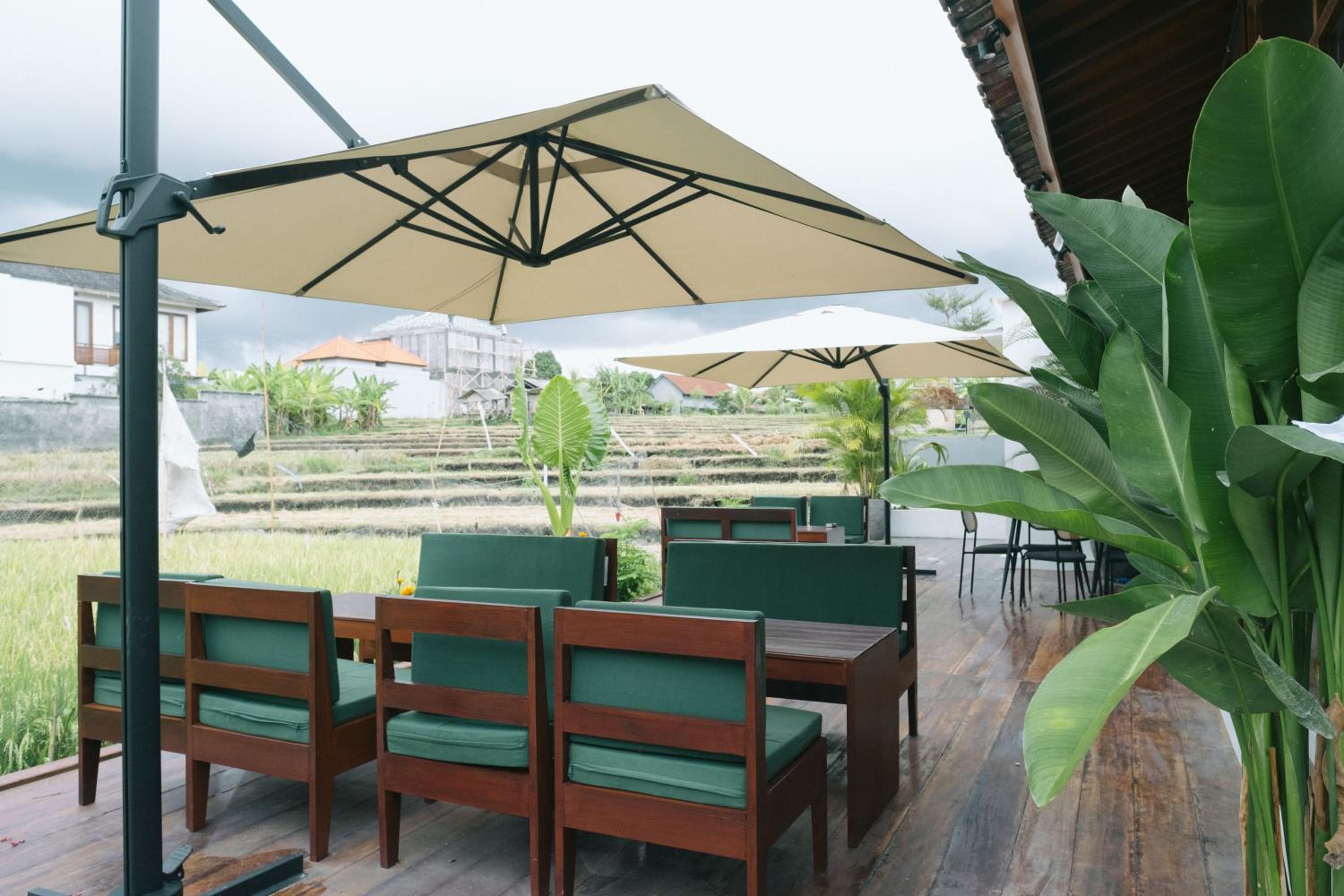 Backyard Canggu