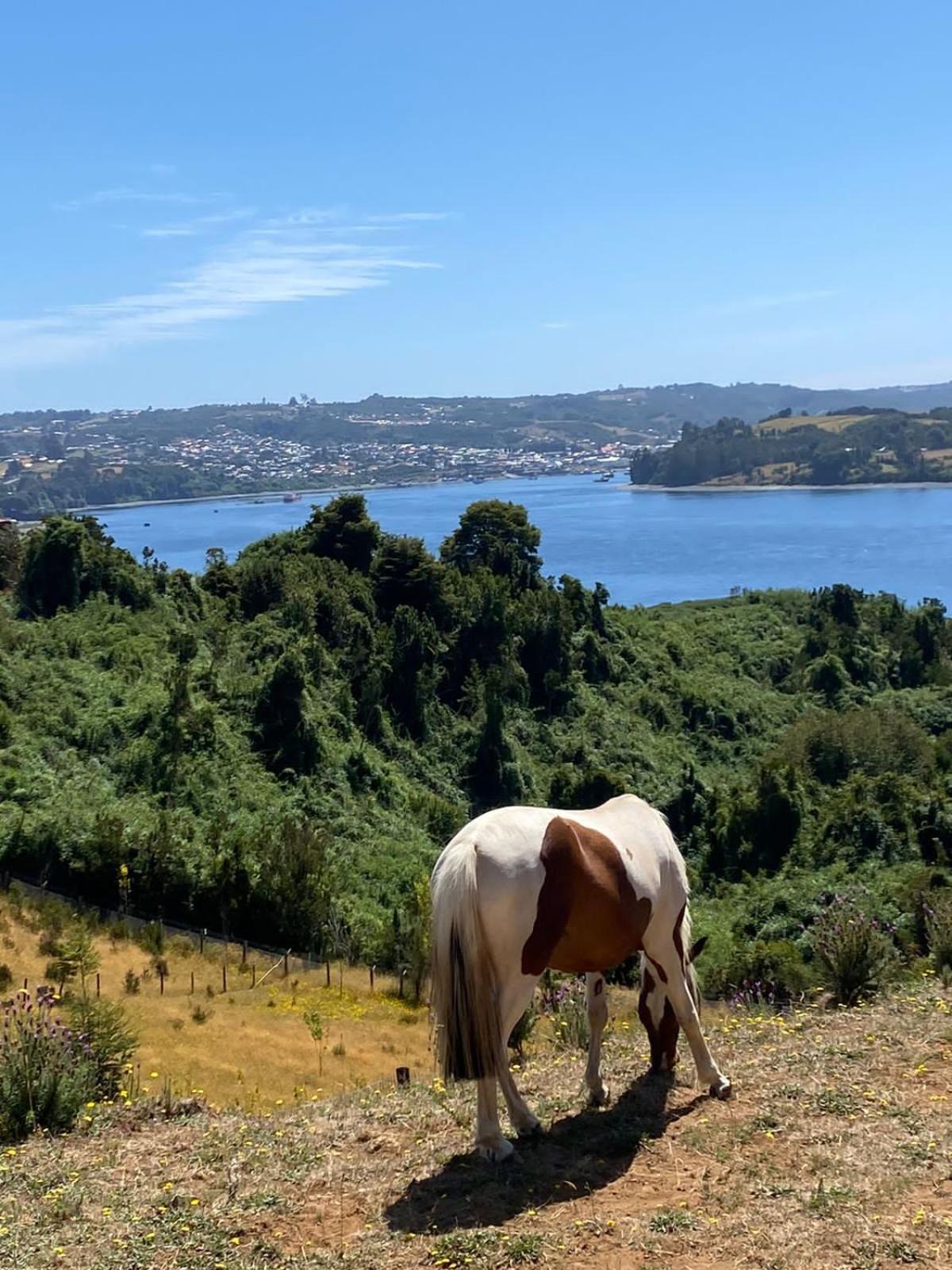 CABAÑA LA RECALADA