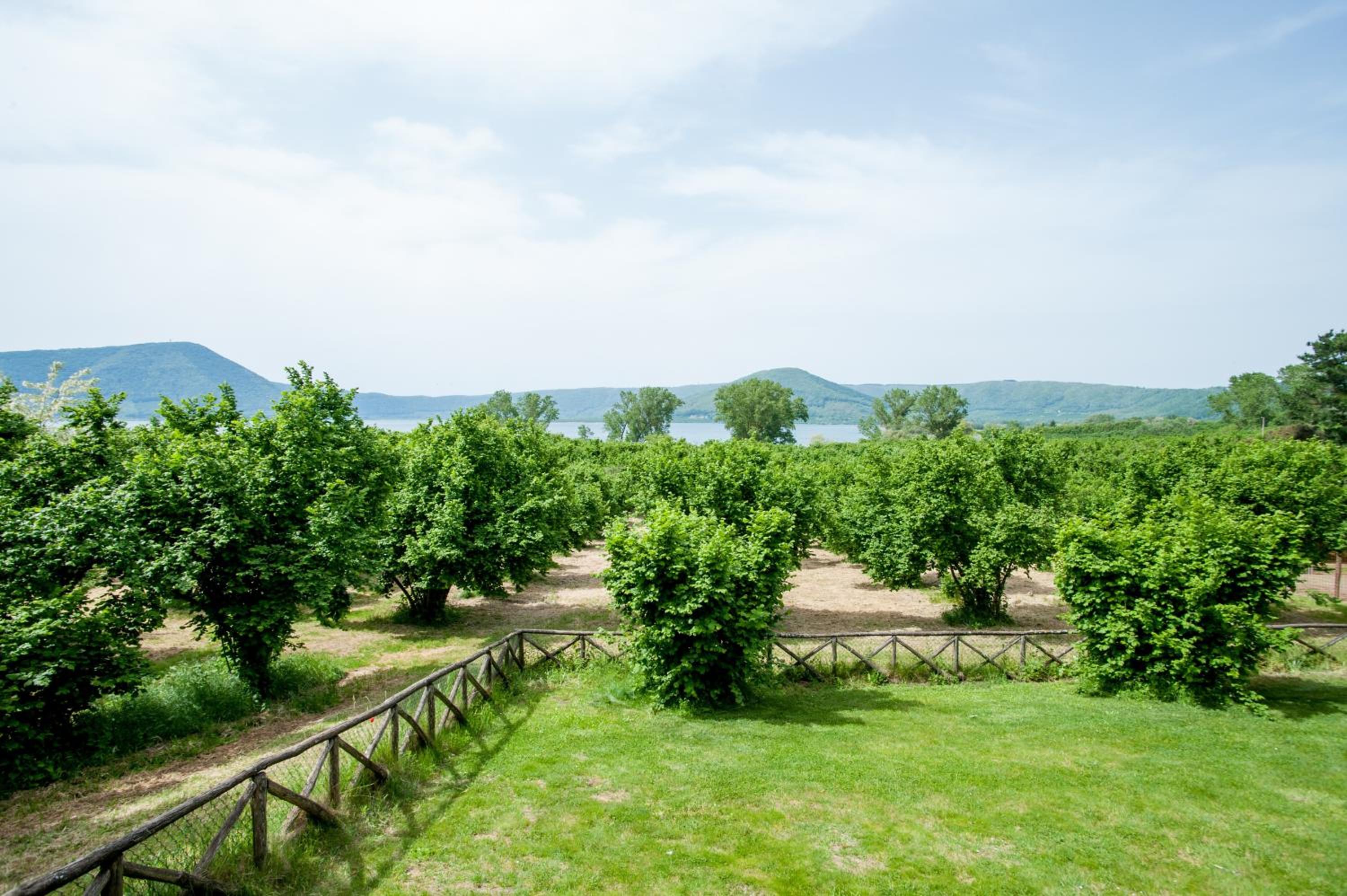 La Finestra sul Lago