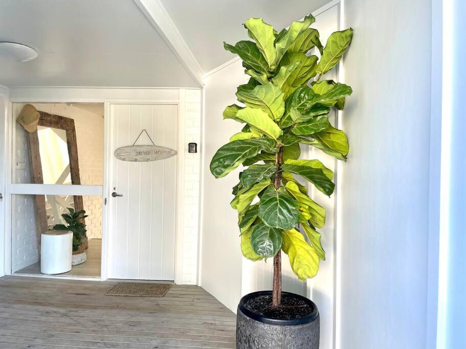 WHITE BEACH HOUSE High on Belmore, PETS welcome