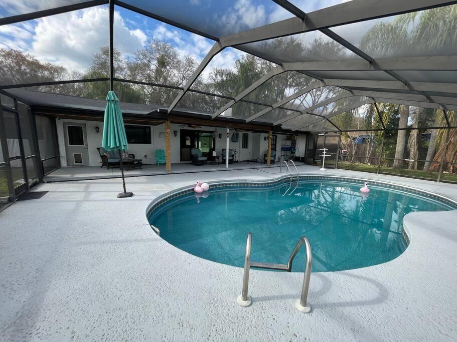 Tampa Vacations - Pura Vida Lake House - Property Image 14