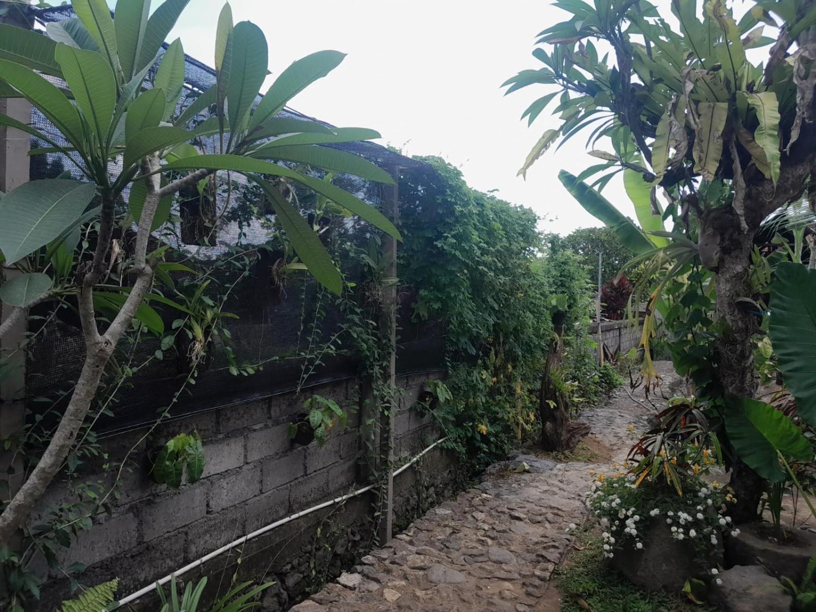 Bali Bakas House II