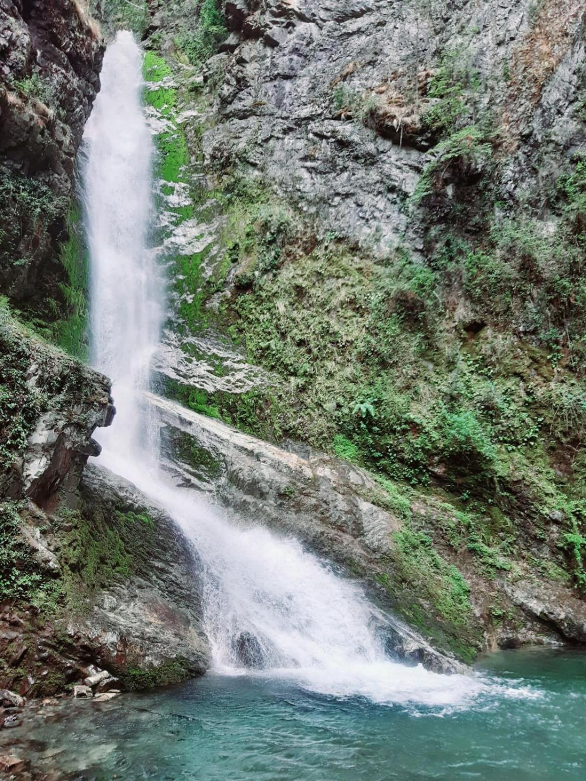 Cabañas Alma del Sur