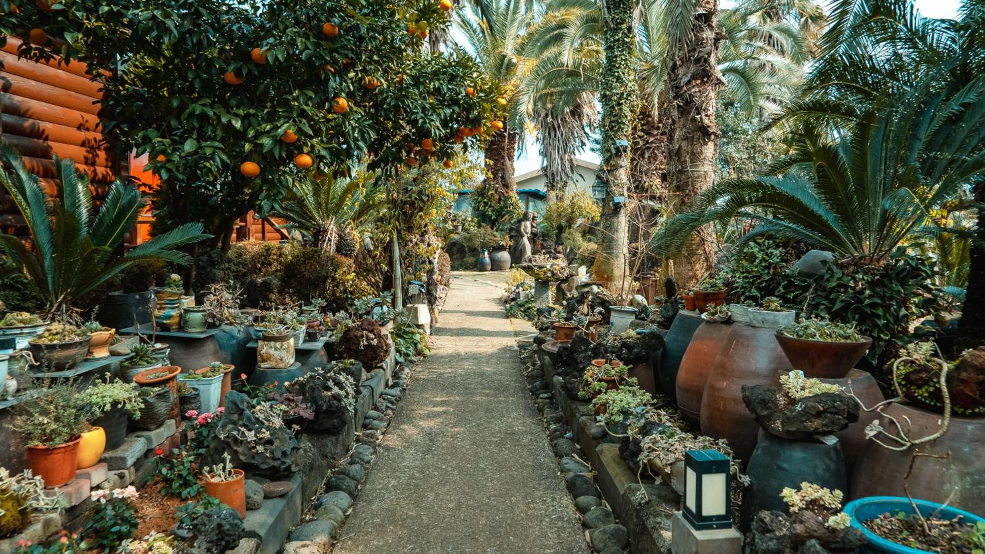 Valley Village