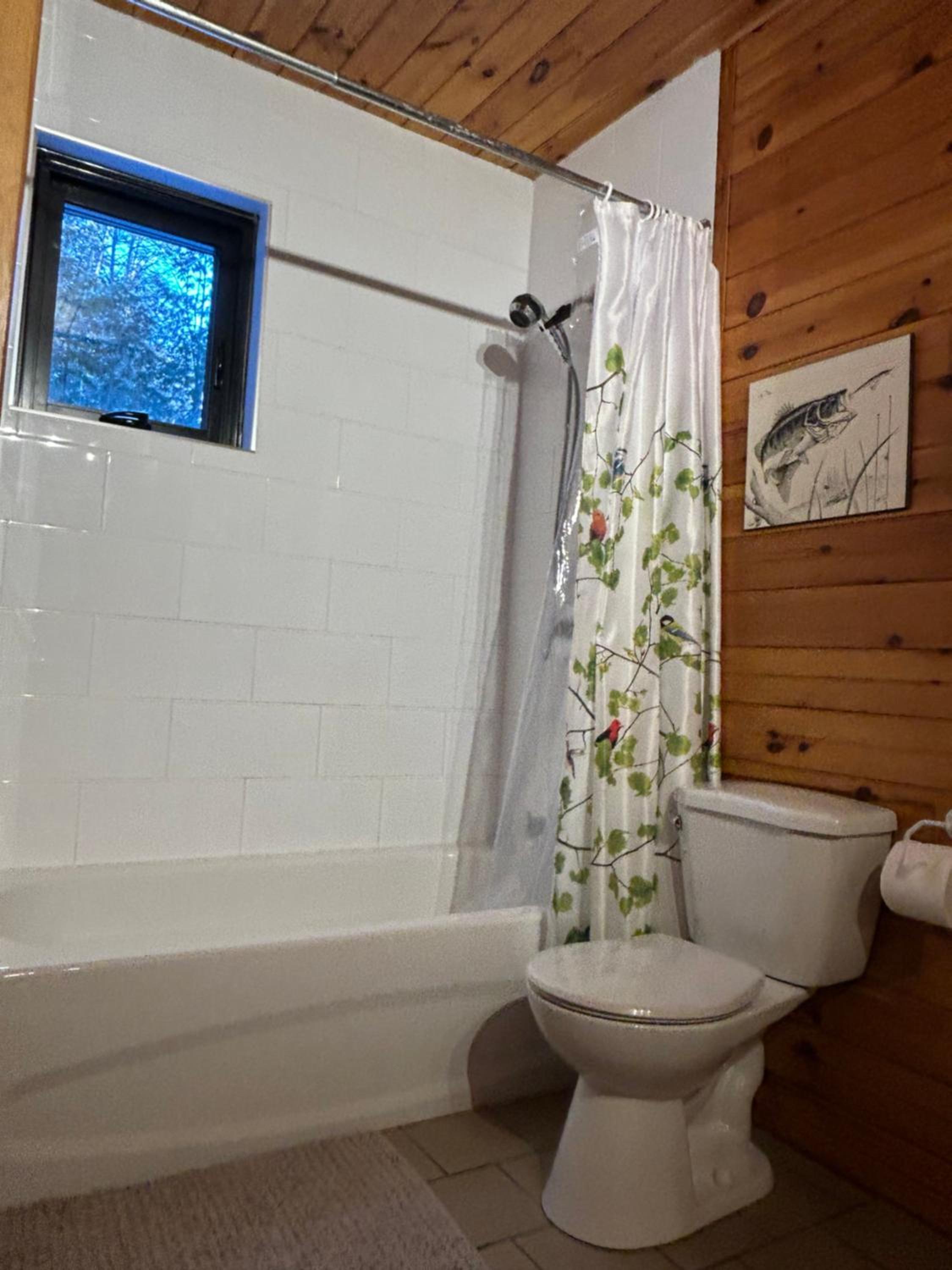 Serendipity Hideaway Spring Lakefront Gem SUPs & Boats - Firewood Included, 10 on 10