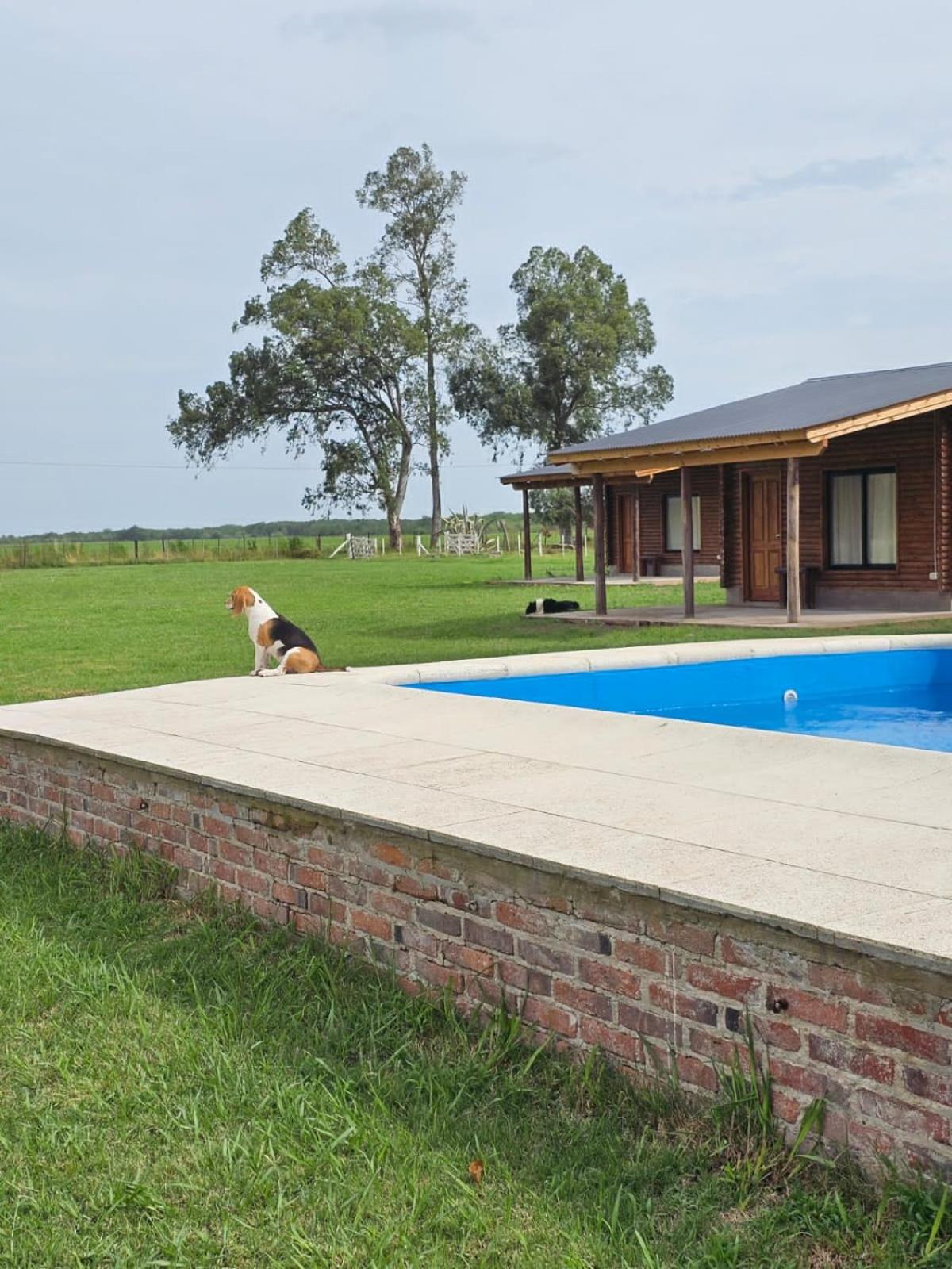 Campo Cuyen, Cabañas