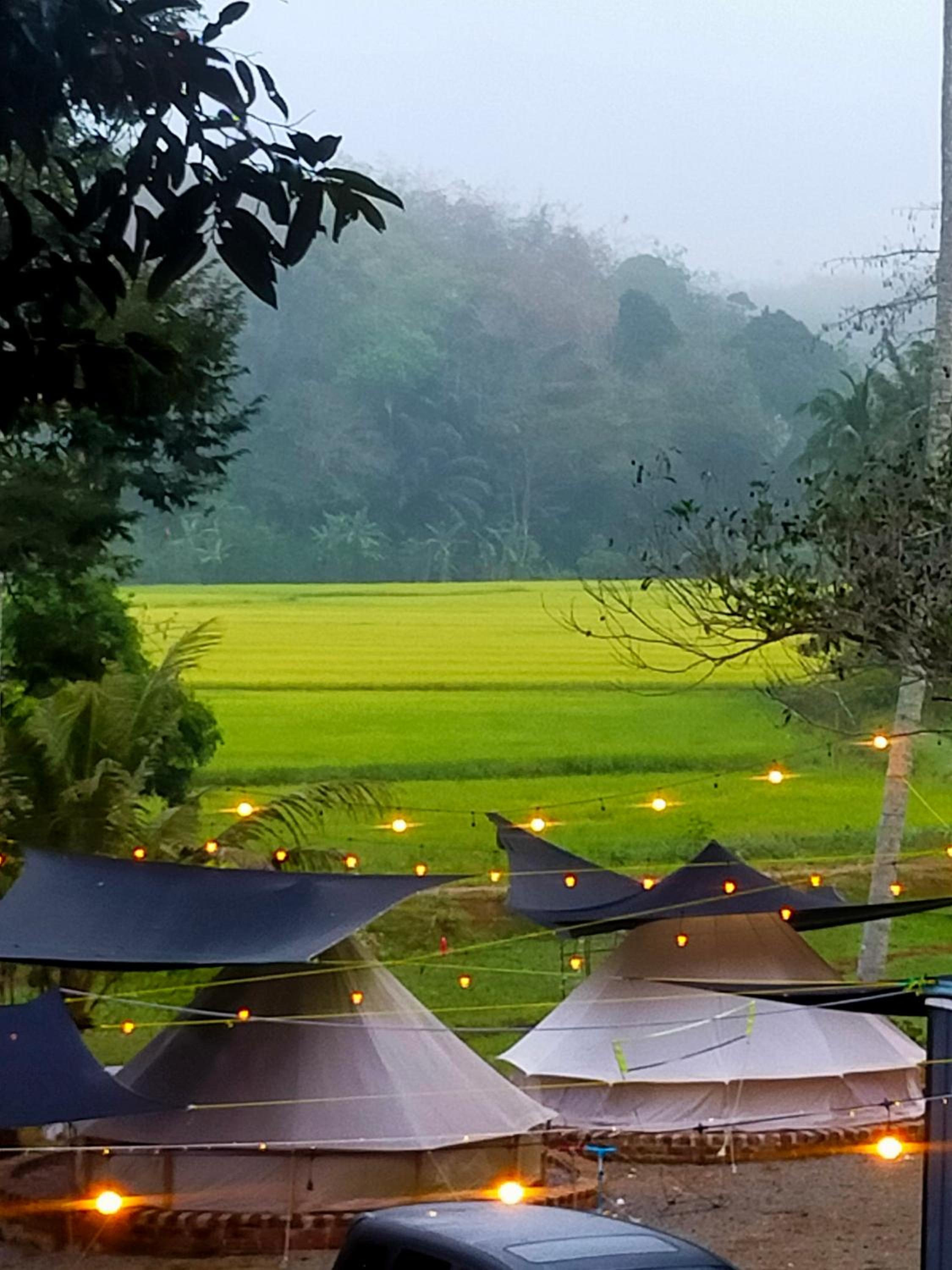 Tanah Merah Glamping Village (TMGV) view 2