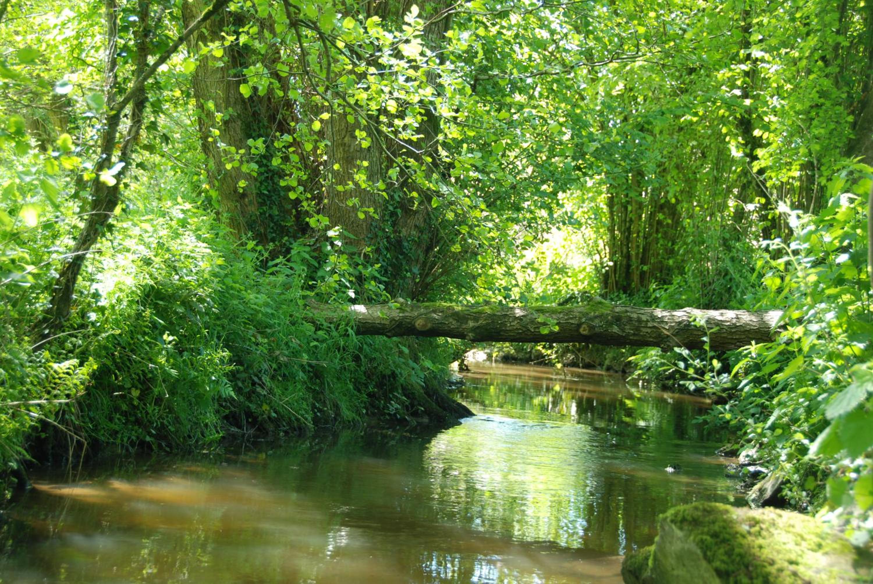 Le Moulin Moreau view 3