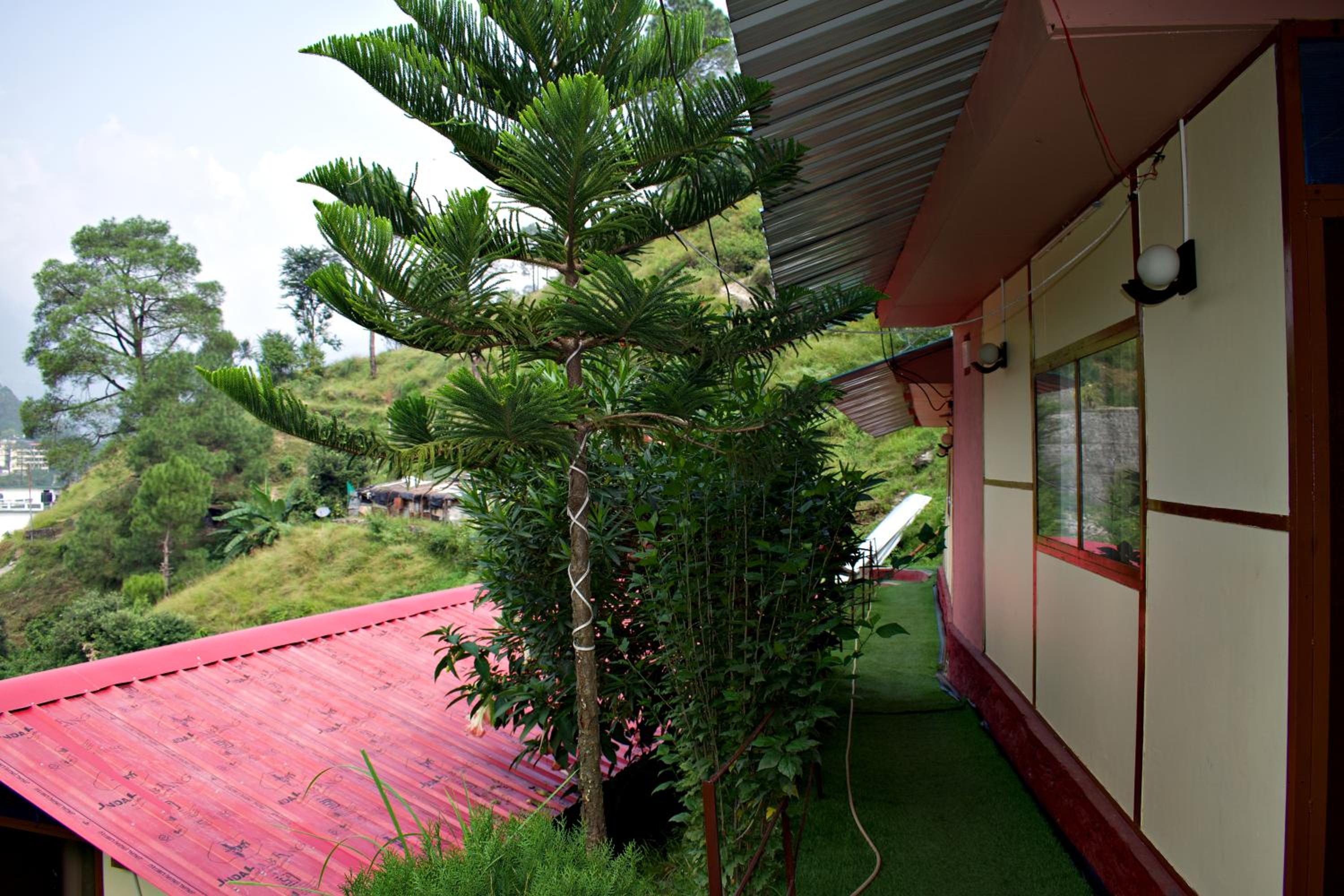 Photo 13