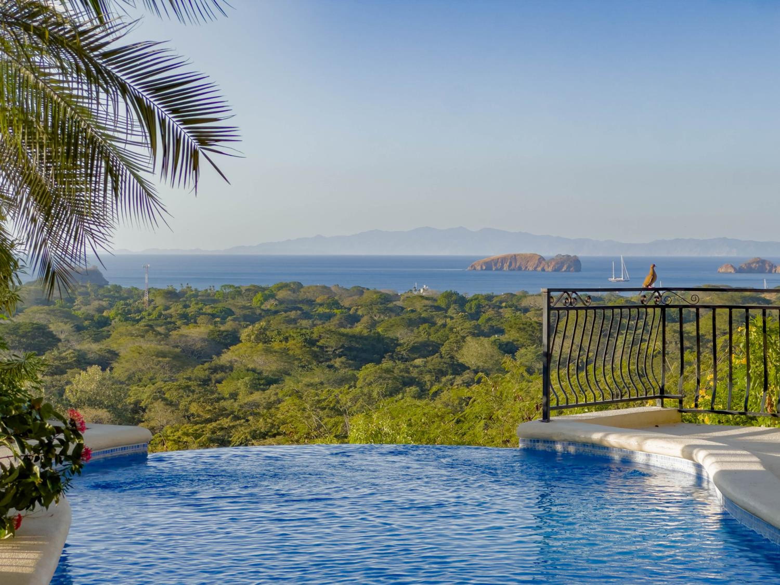 Ocean View Lux And Style Condo