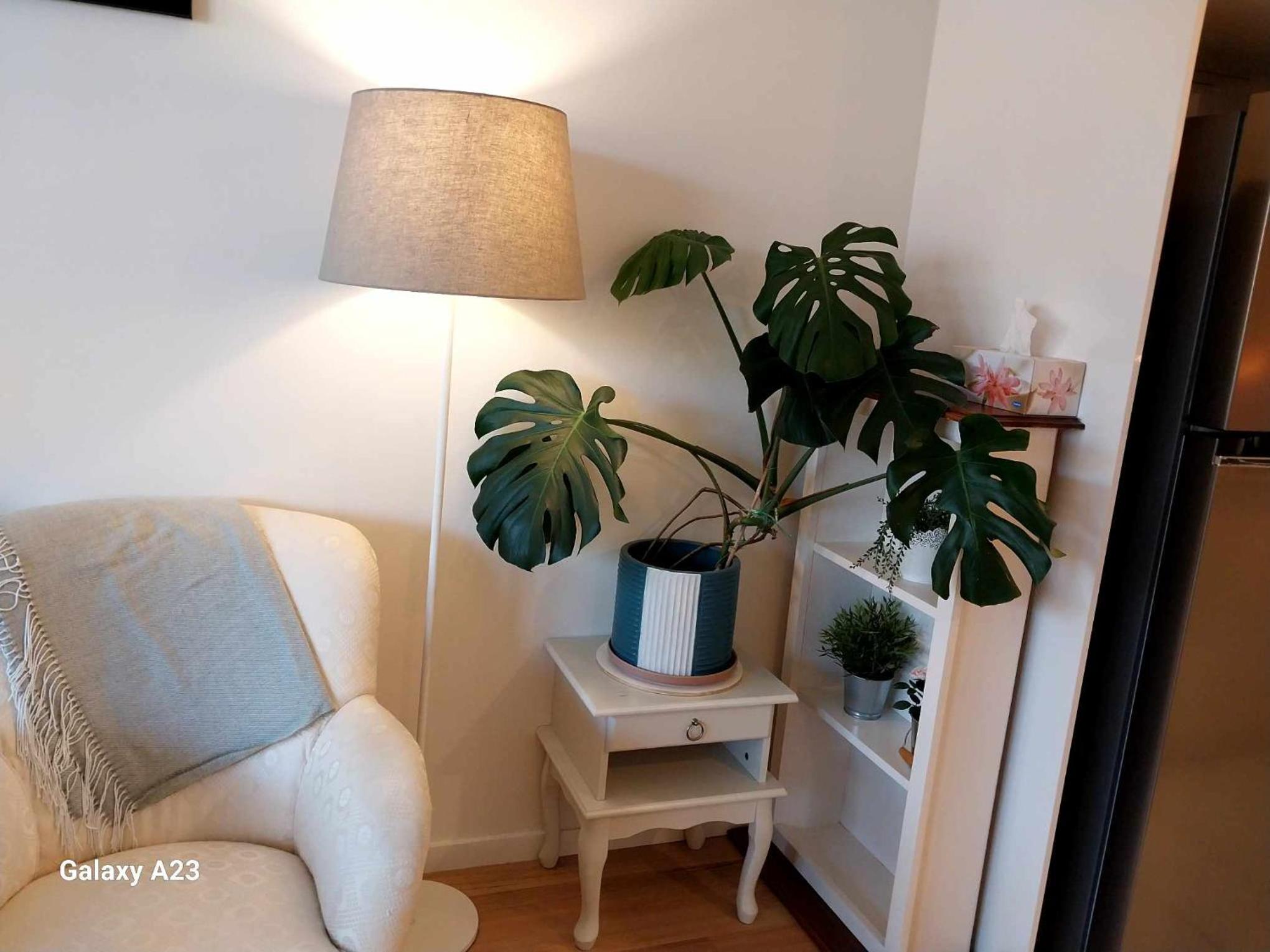 Lux 2 Bed 2 Bath Secure Parking Apartment in the Heart of Dickson, Canberra