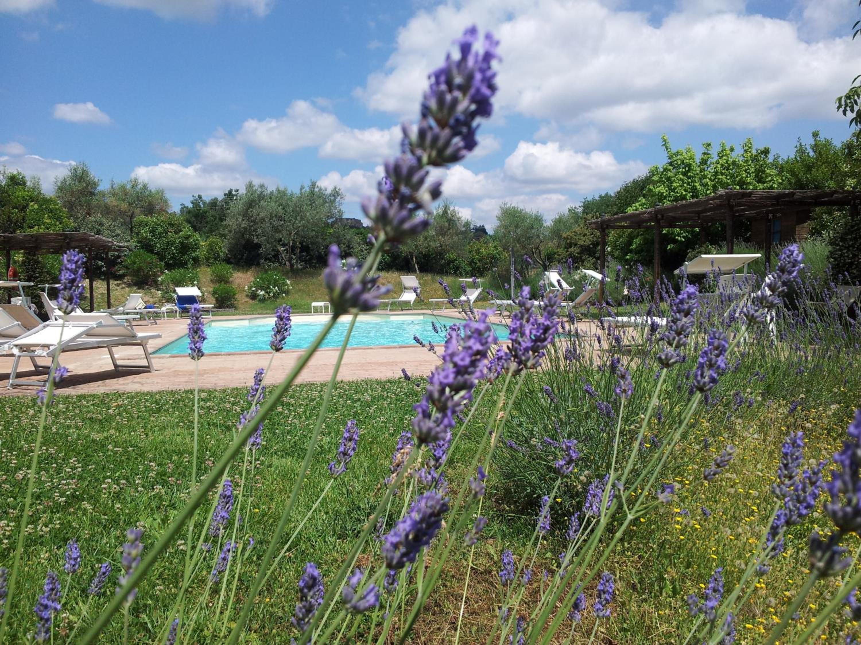 Agriturismo La Torriola view 4