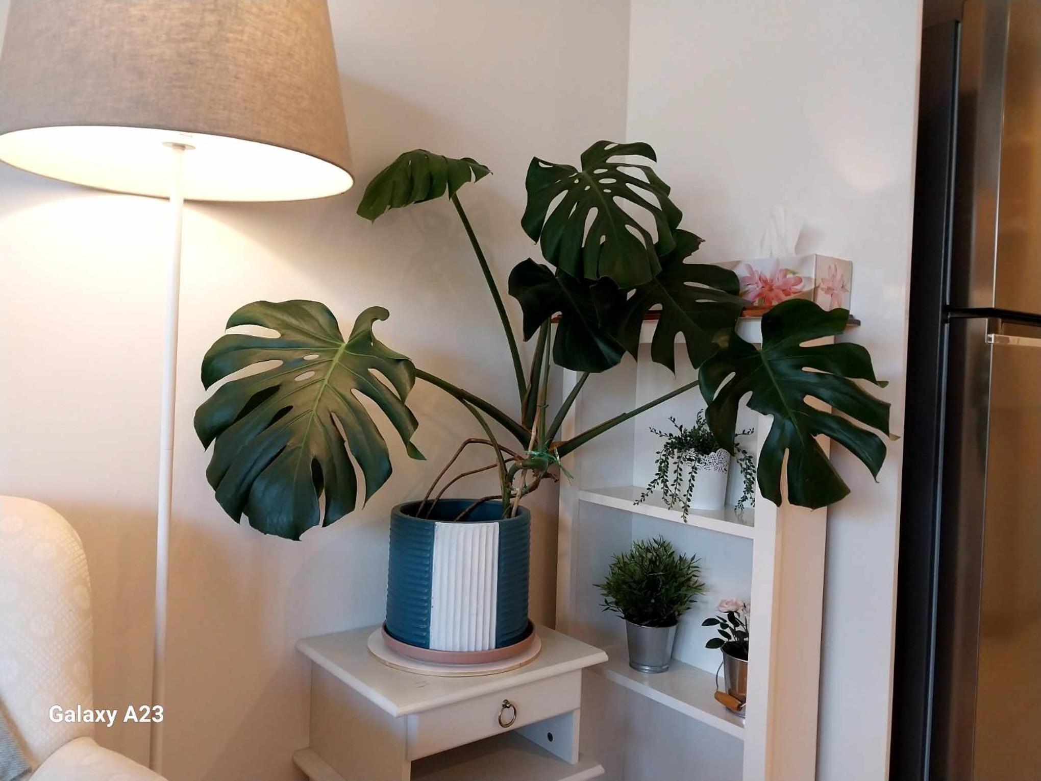 Lux 2 Bed 2 Bath Secure Parking Apartment in the Heart of Dickson, Canberra