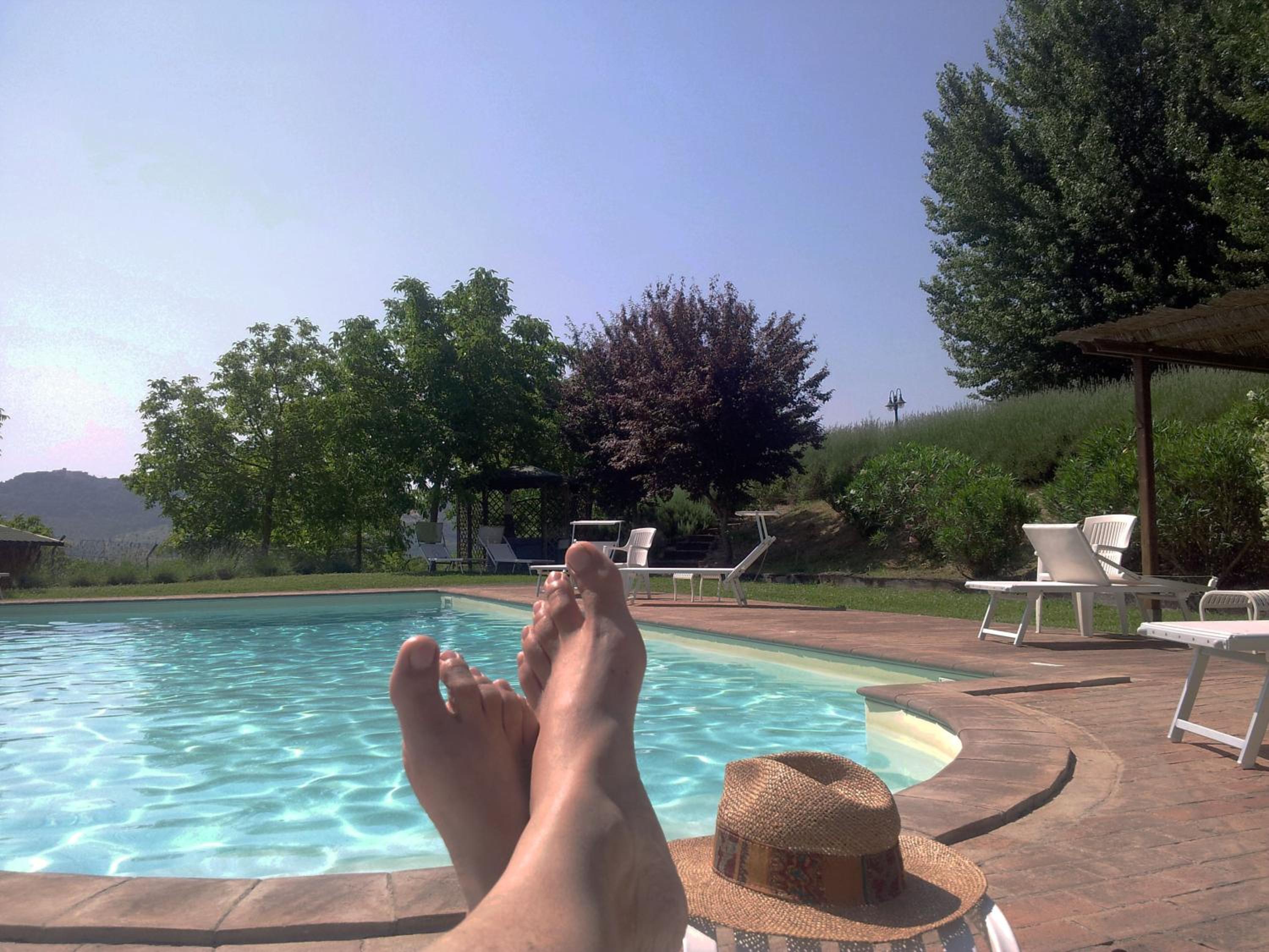 Agriturismo La Torriola view 5