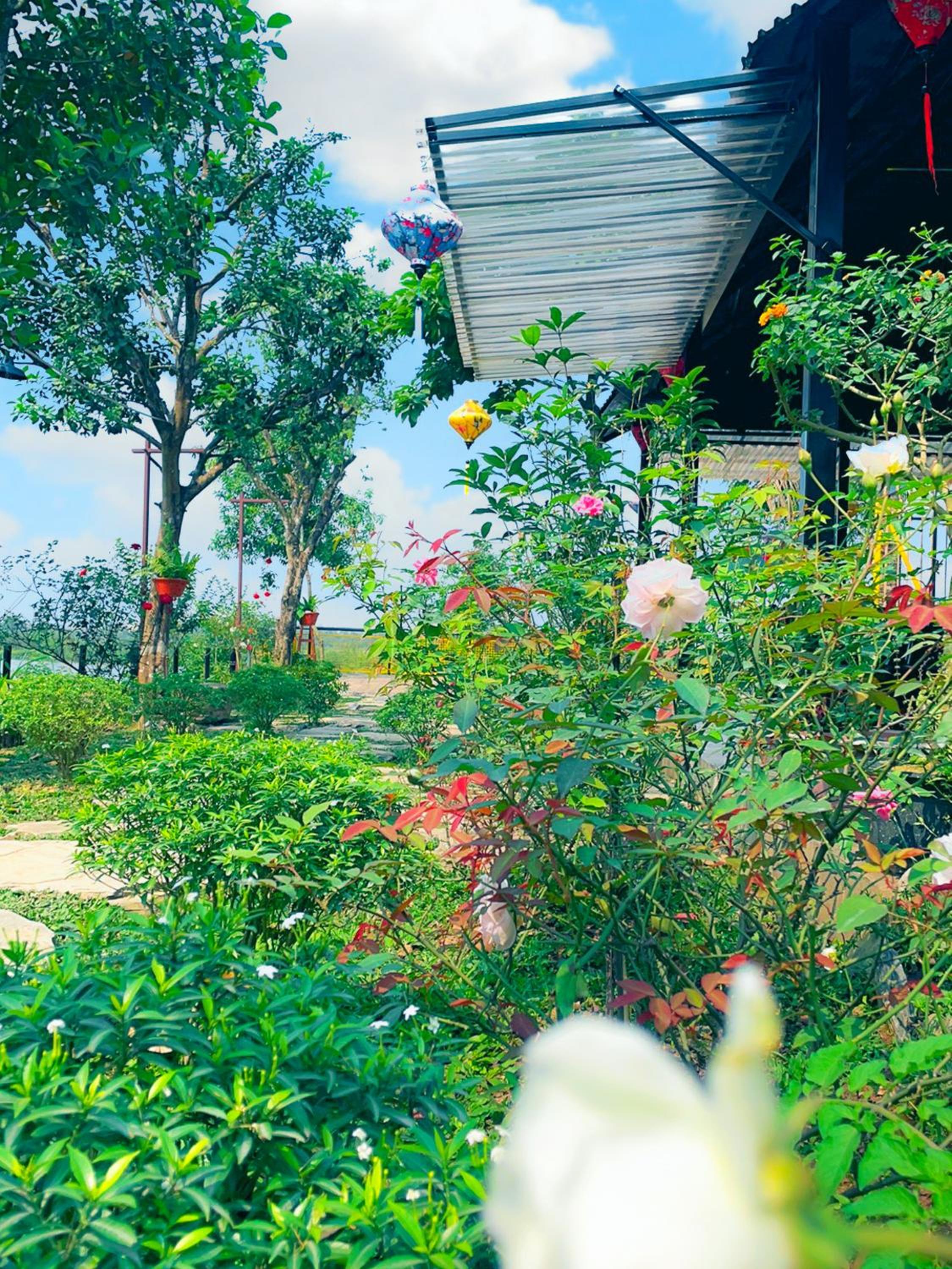 Trang An Cozy House