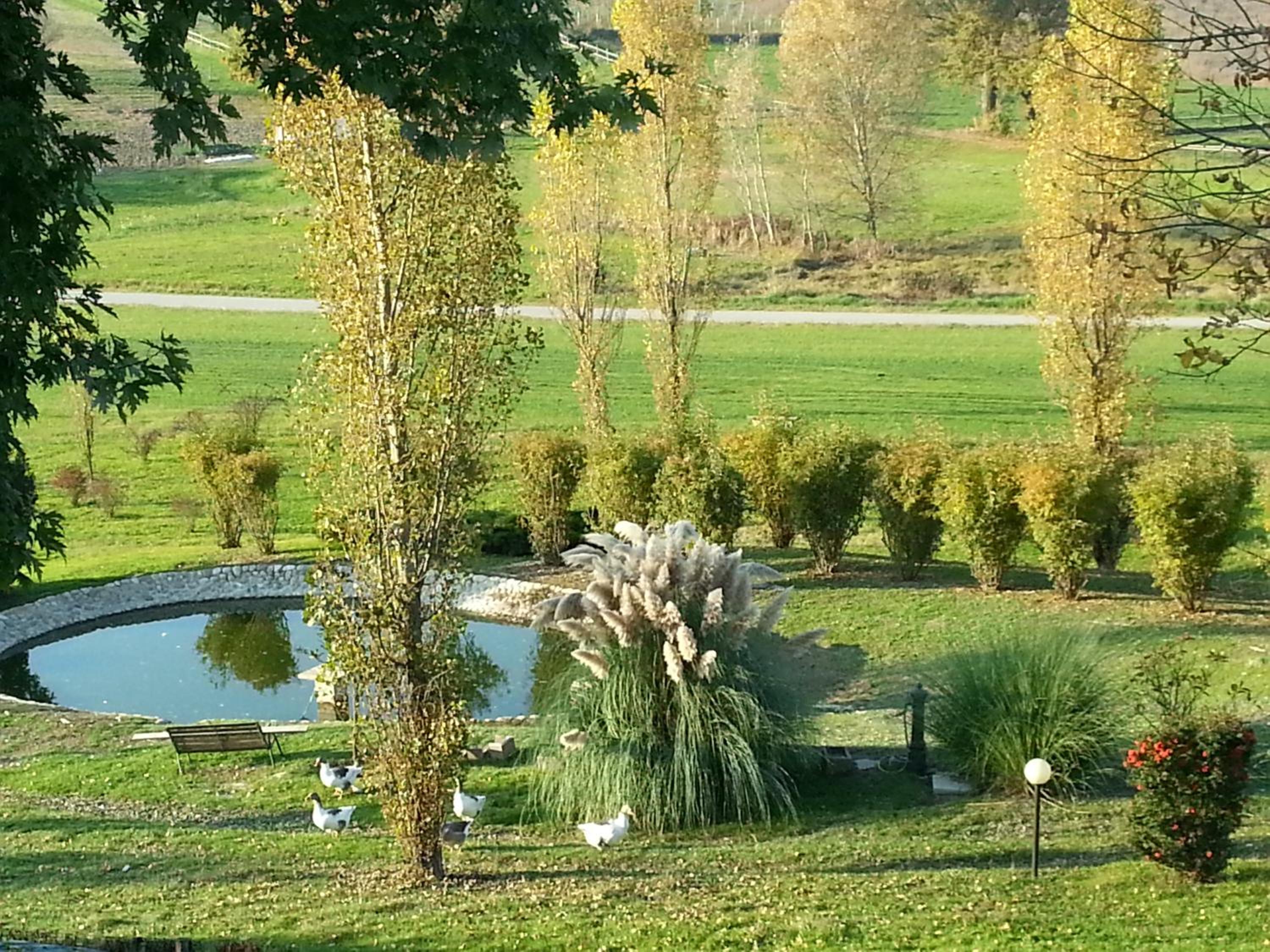 Photo 40