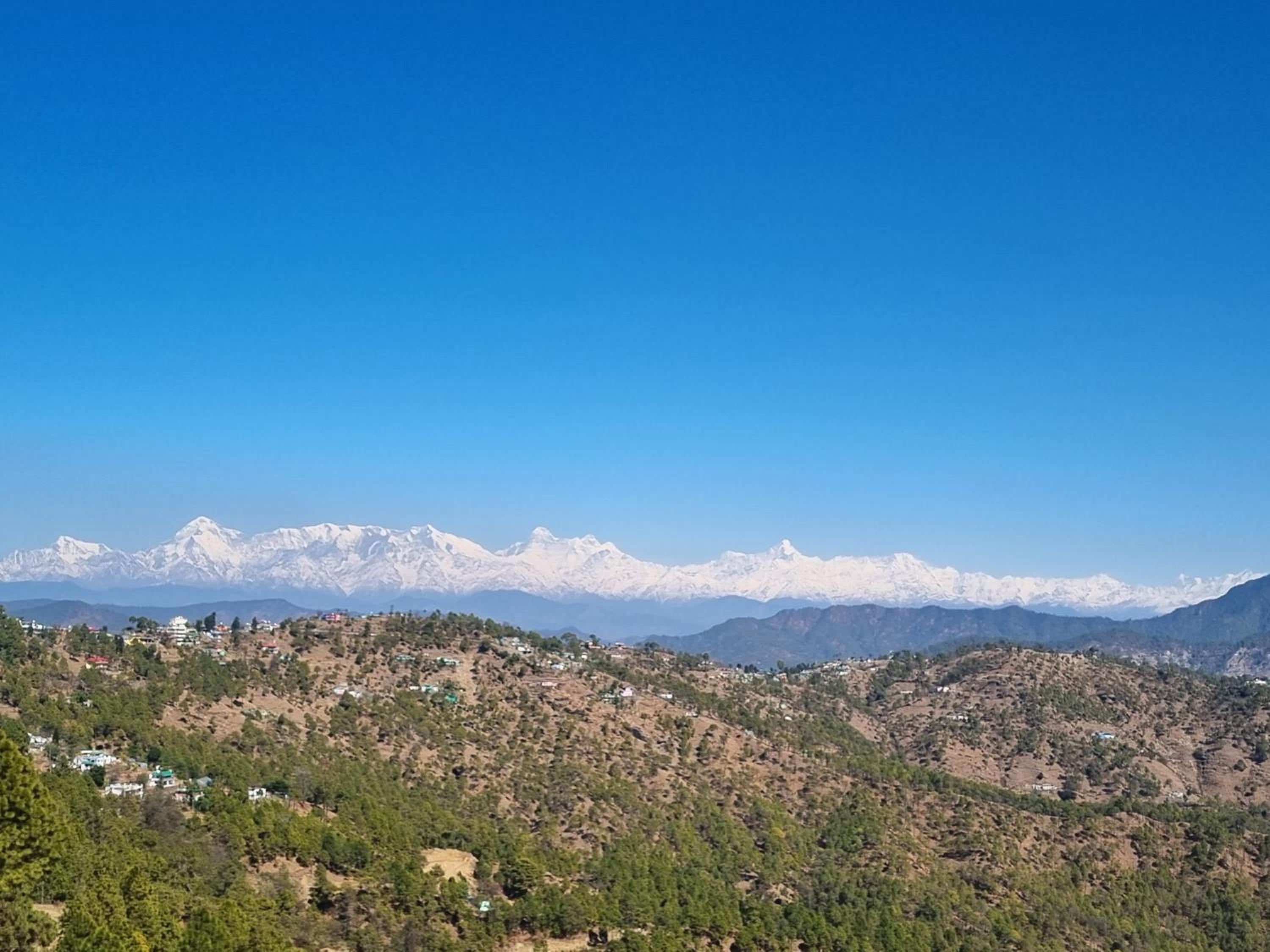 binsar backpackers room view 3