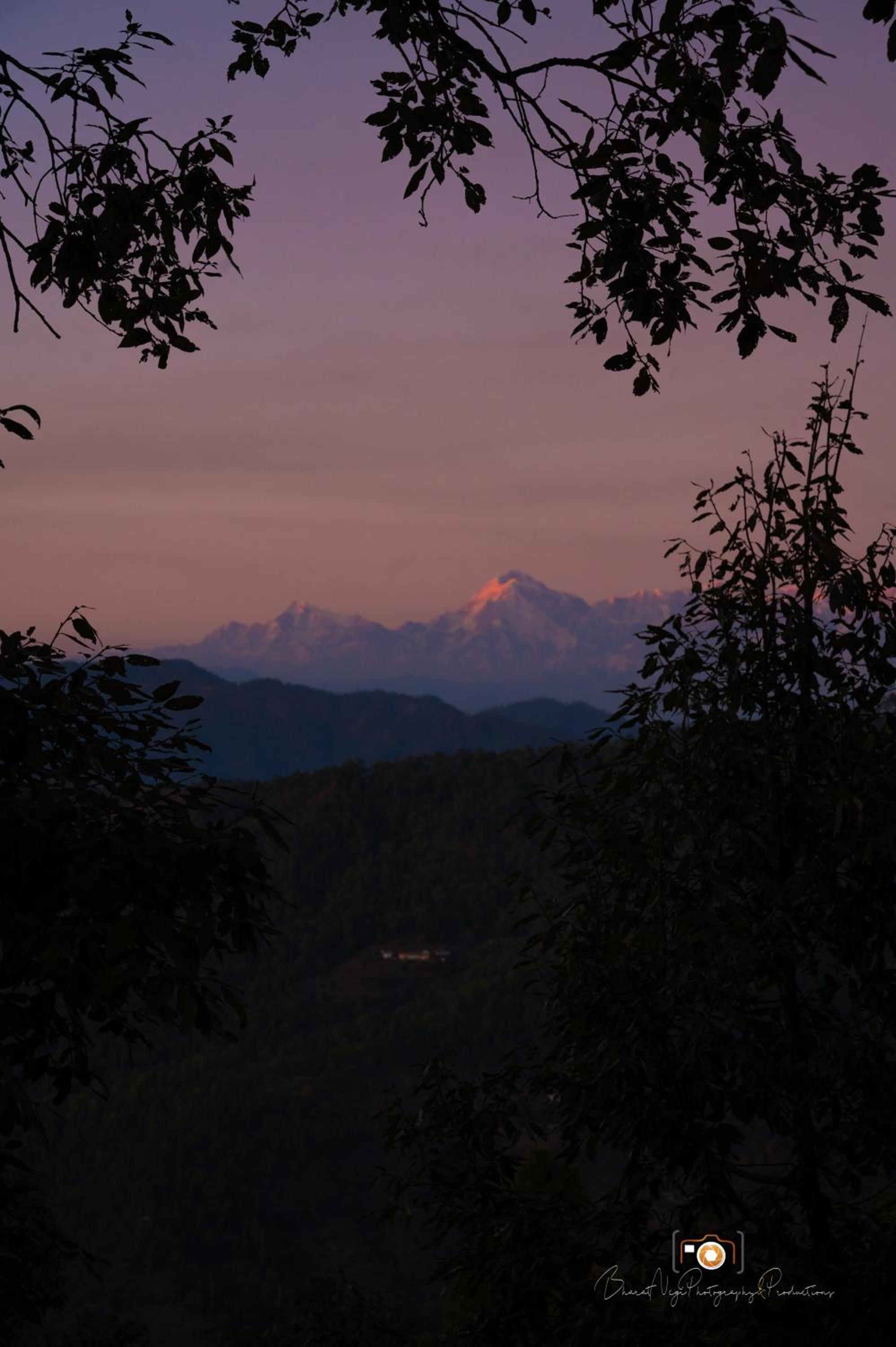 binsar backpackers room view 4