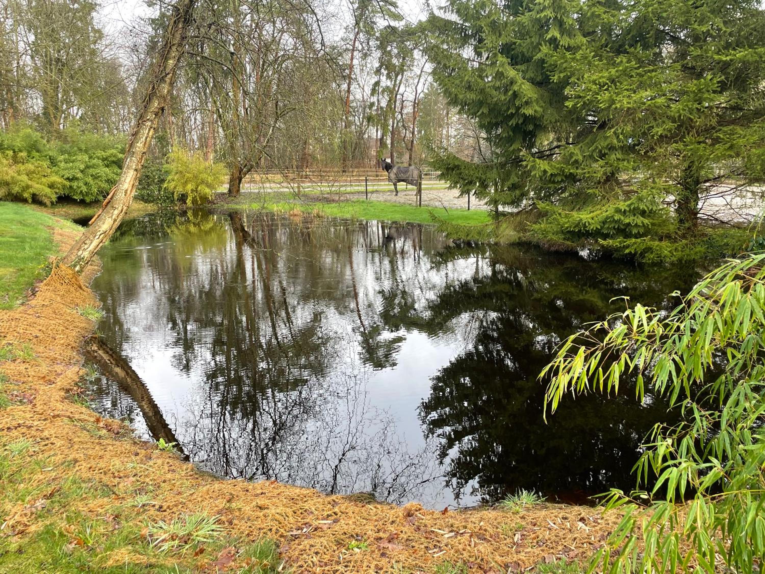 Haus am Teich