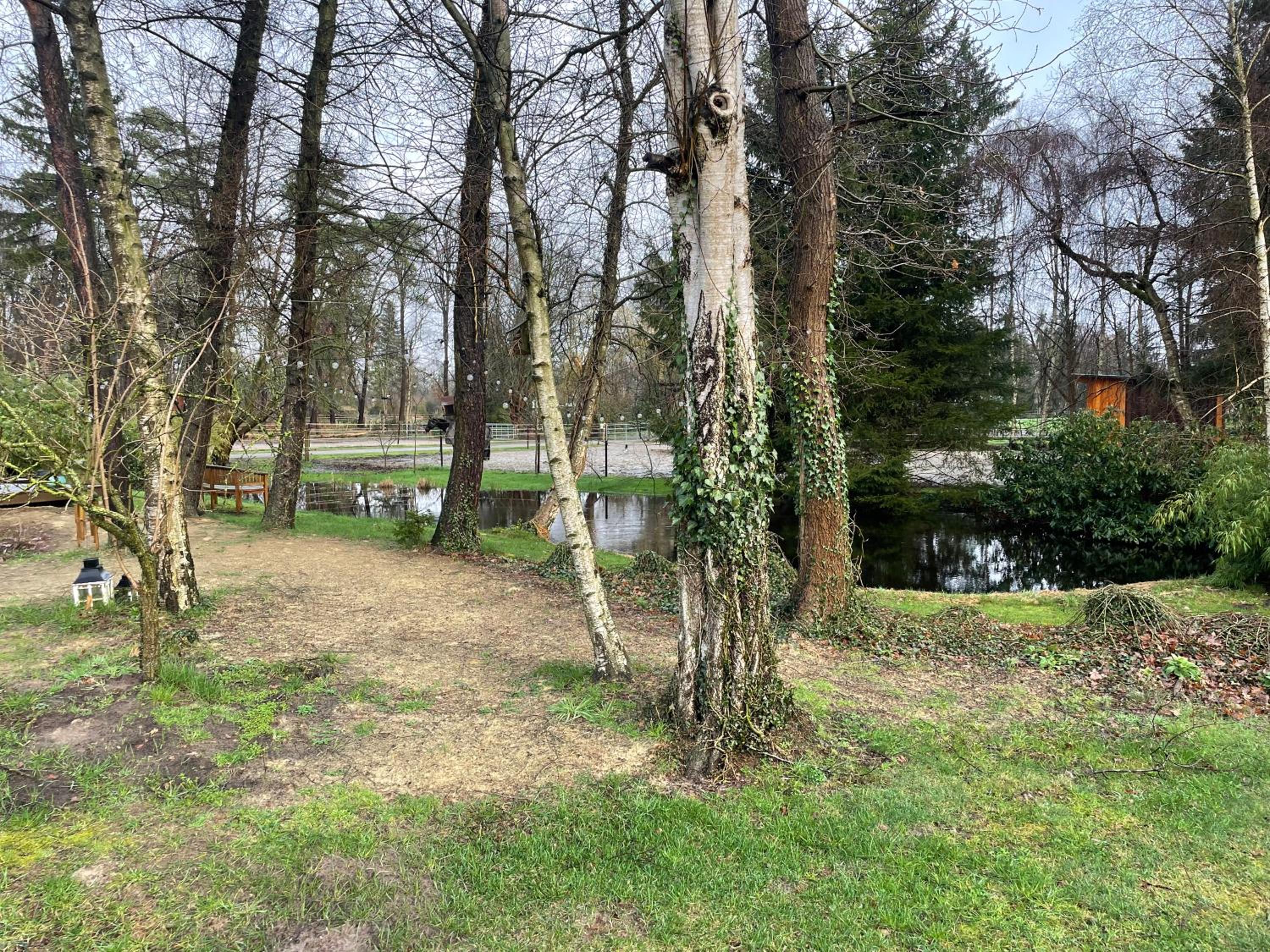 Haus am Teich