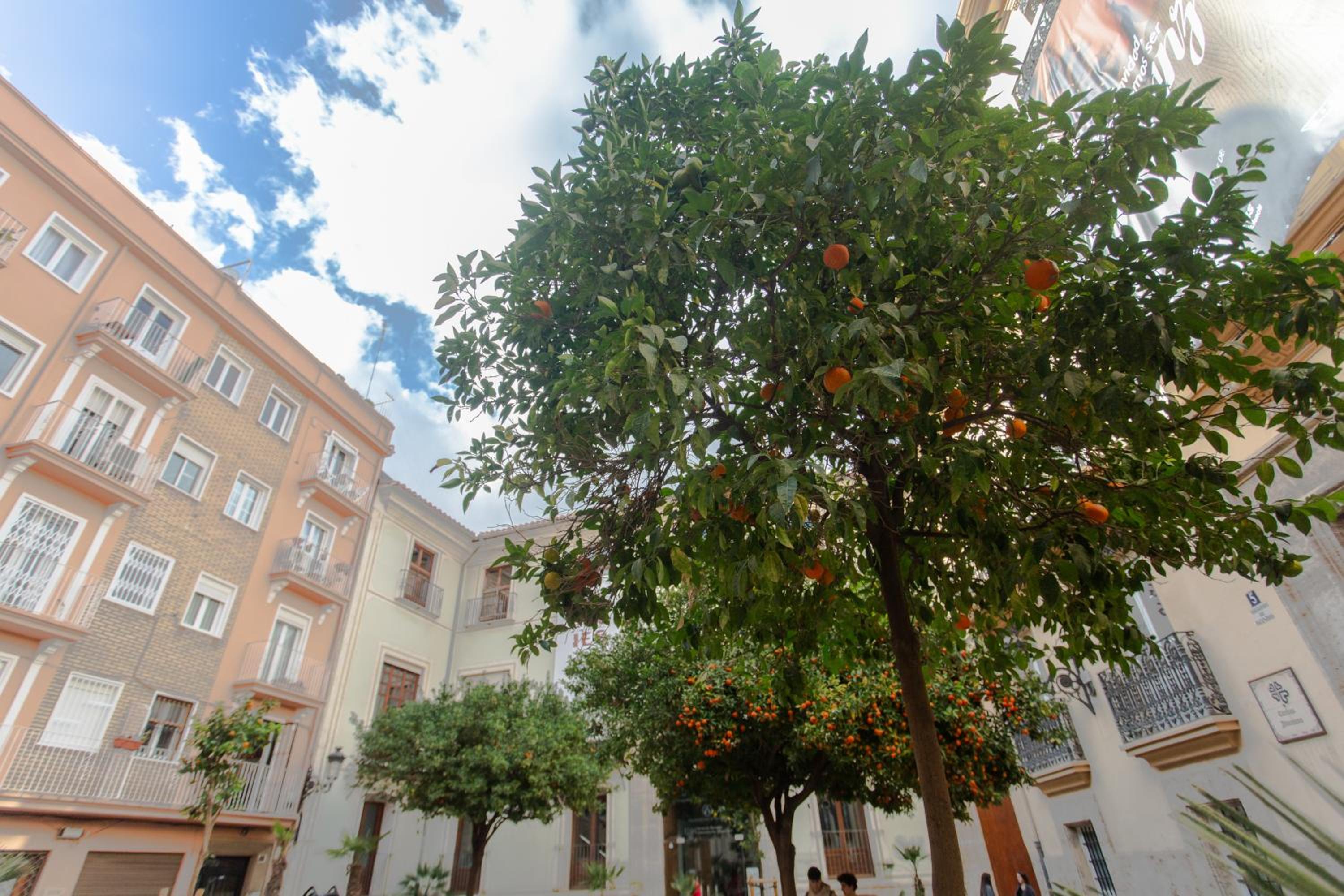 Tranquilo Apartamento Céntrico En Plaza Cisneros