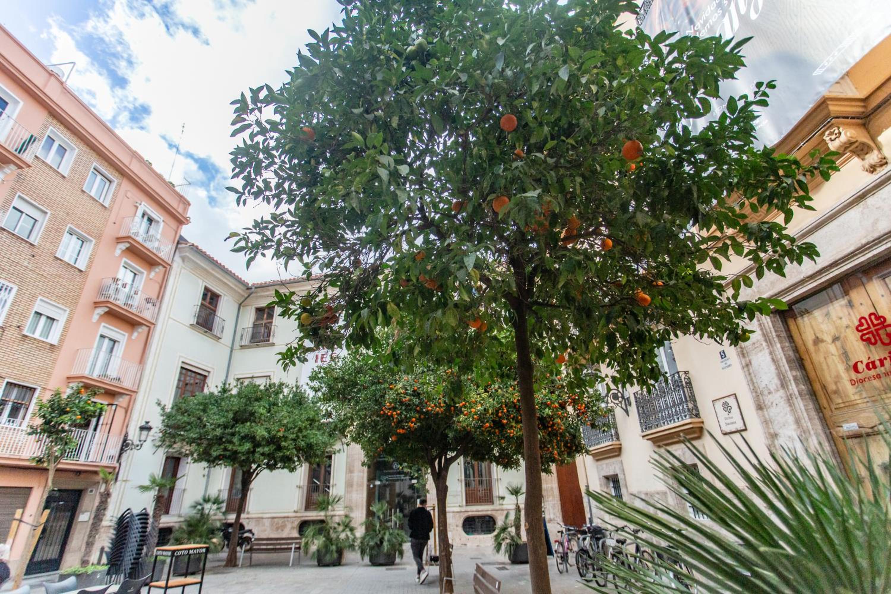 Tranquilo Apartamento Céntrico En Plaza Cisneros