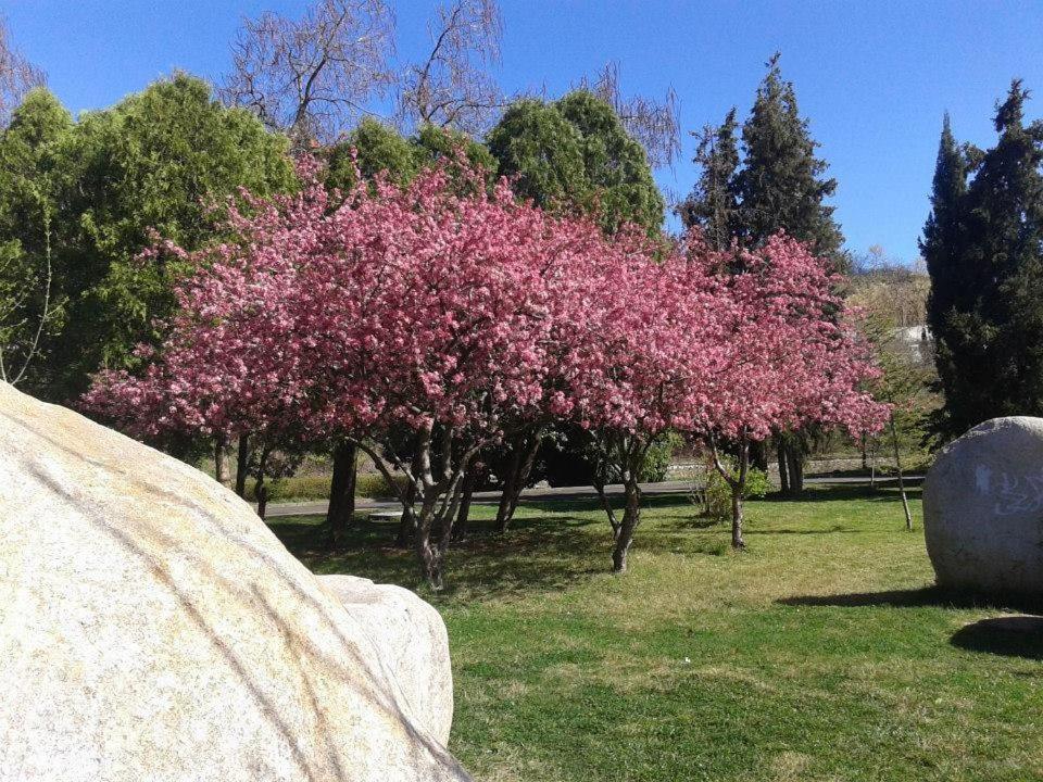 Photo 45