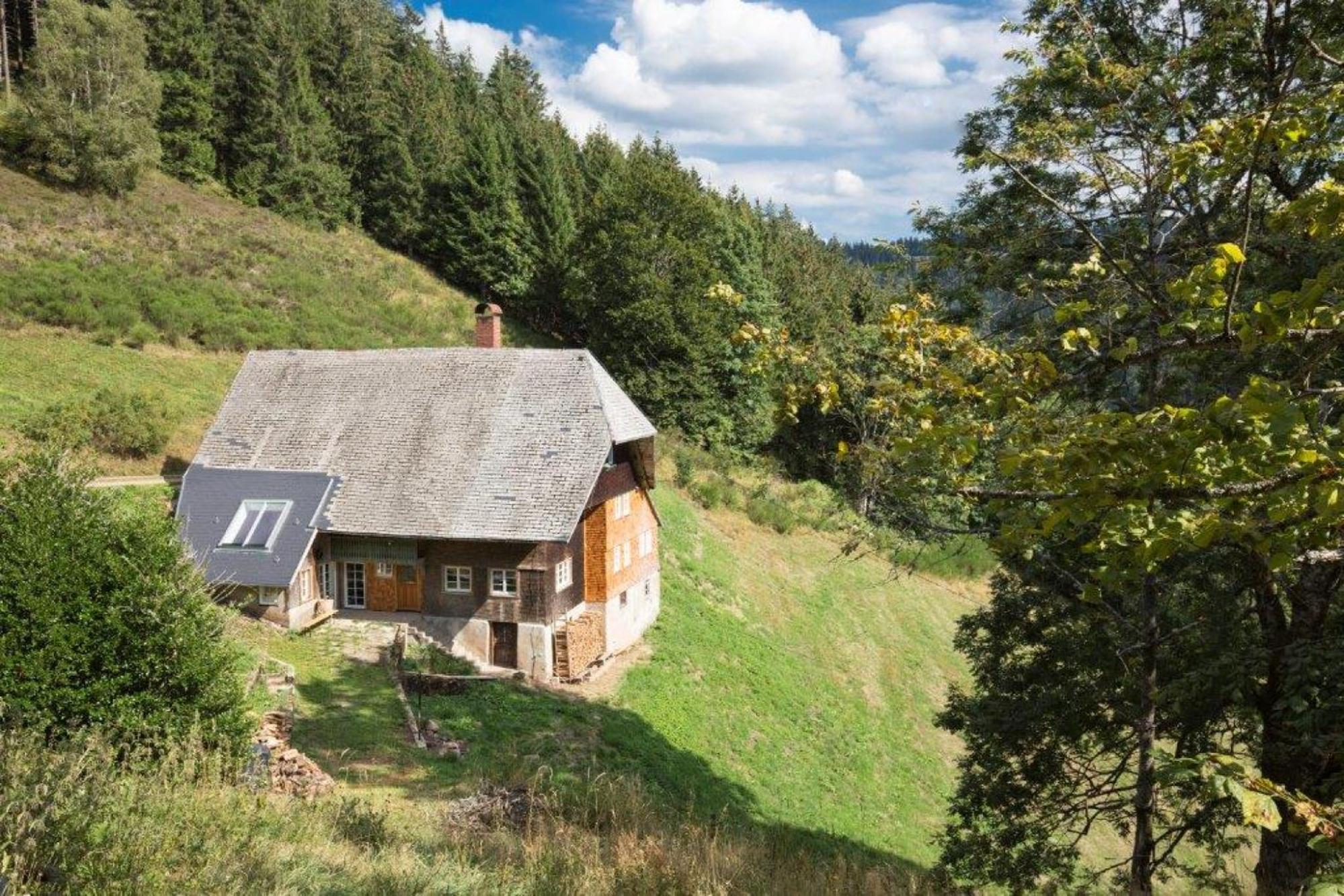 Fewo Kaspershäusle: Alleinlage mitten im Wald