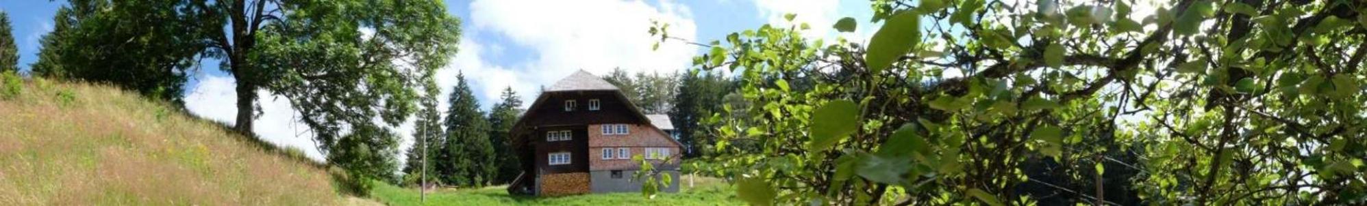 Fewo Kaspershäusle: Alleinlage mitten im Wald