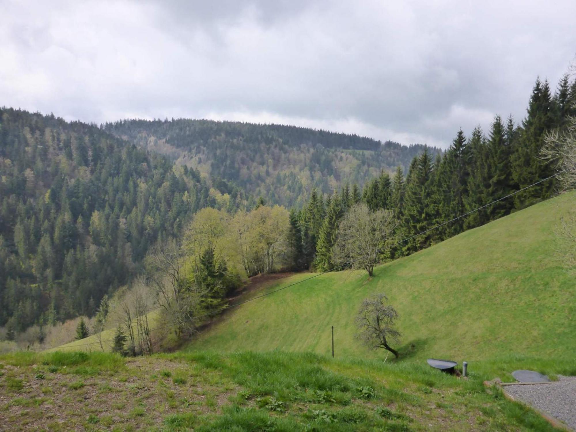 Fewo Kaspershäusle: Alleinlage mitten im Wald
