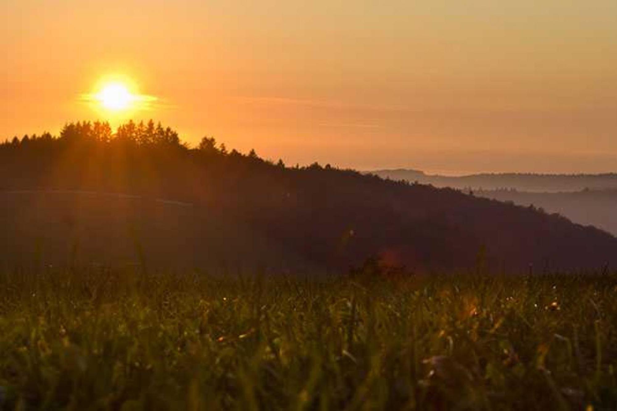 Fewo Kaspershäusle: Alleinlage mitten im Wald