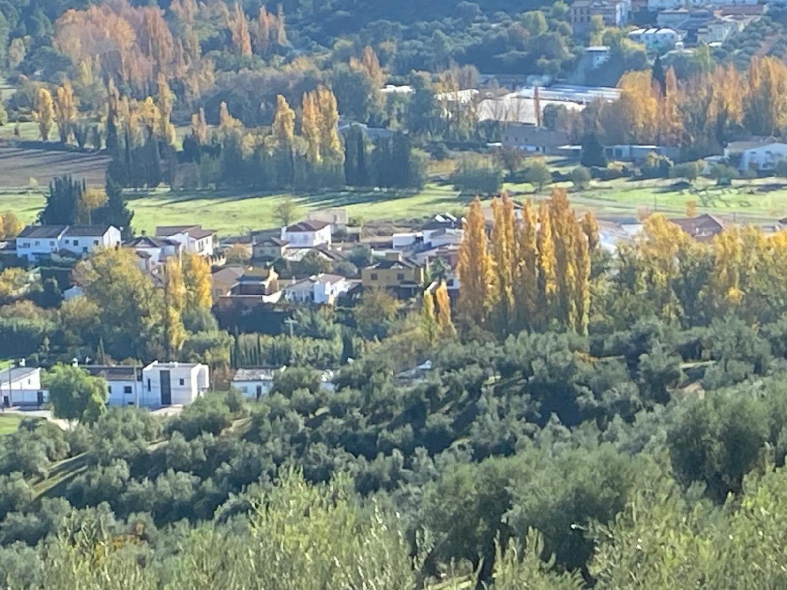 Casa rural La Vereda del rio Guadalquivir